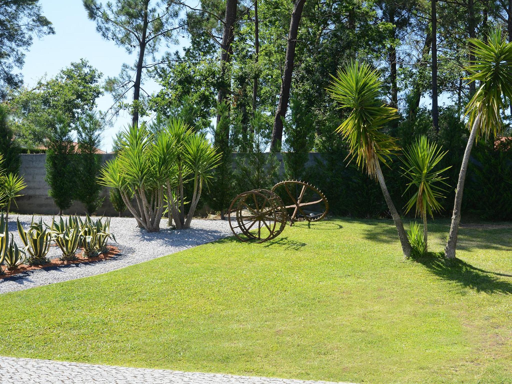 Villa Vieira view 5