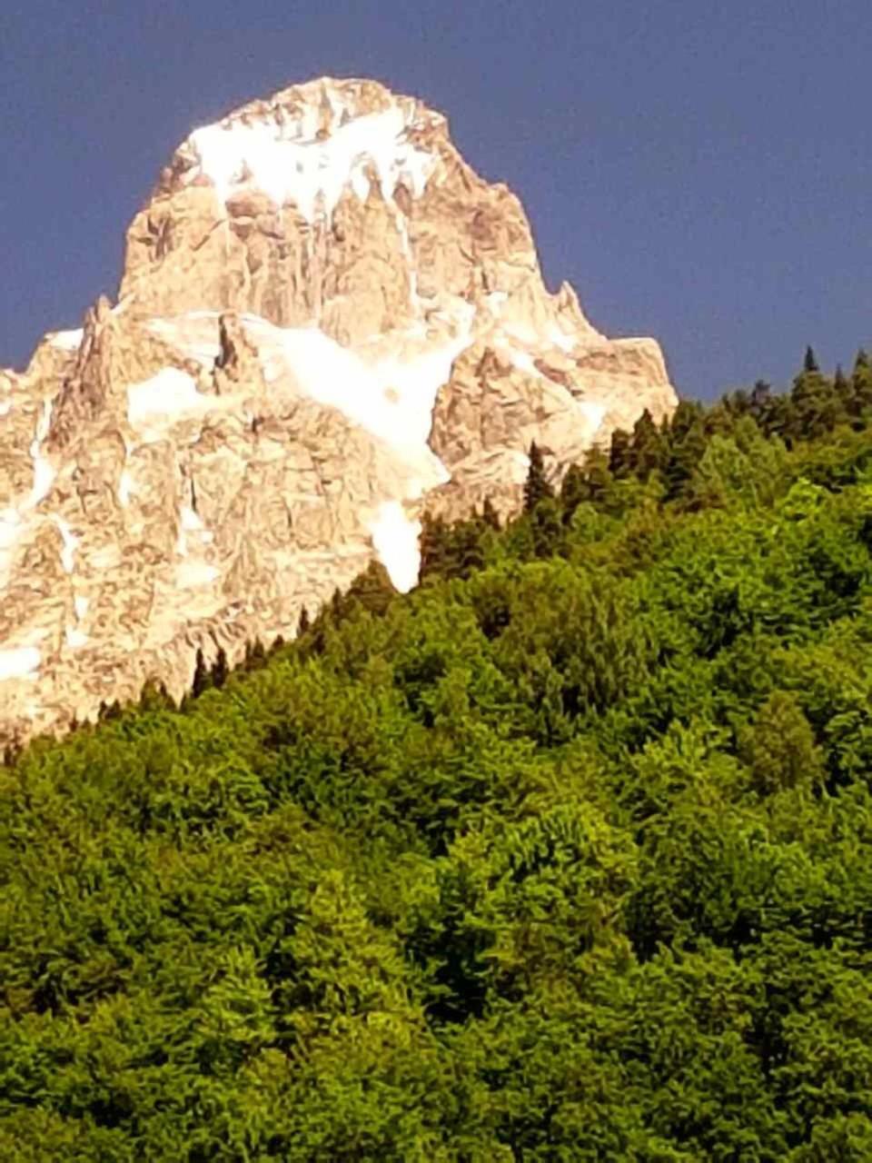 Photo 33