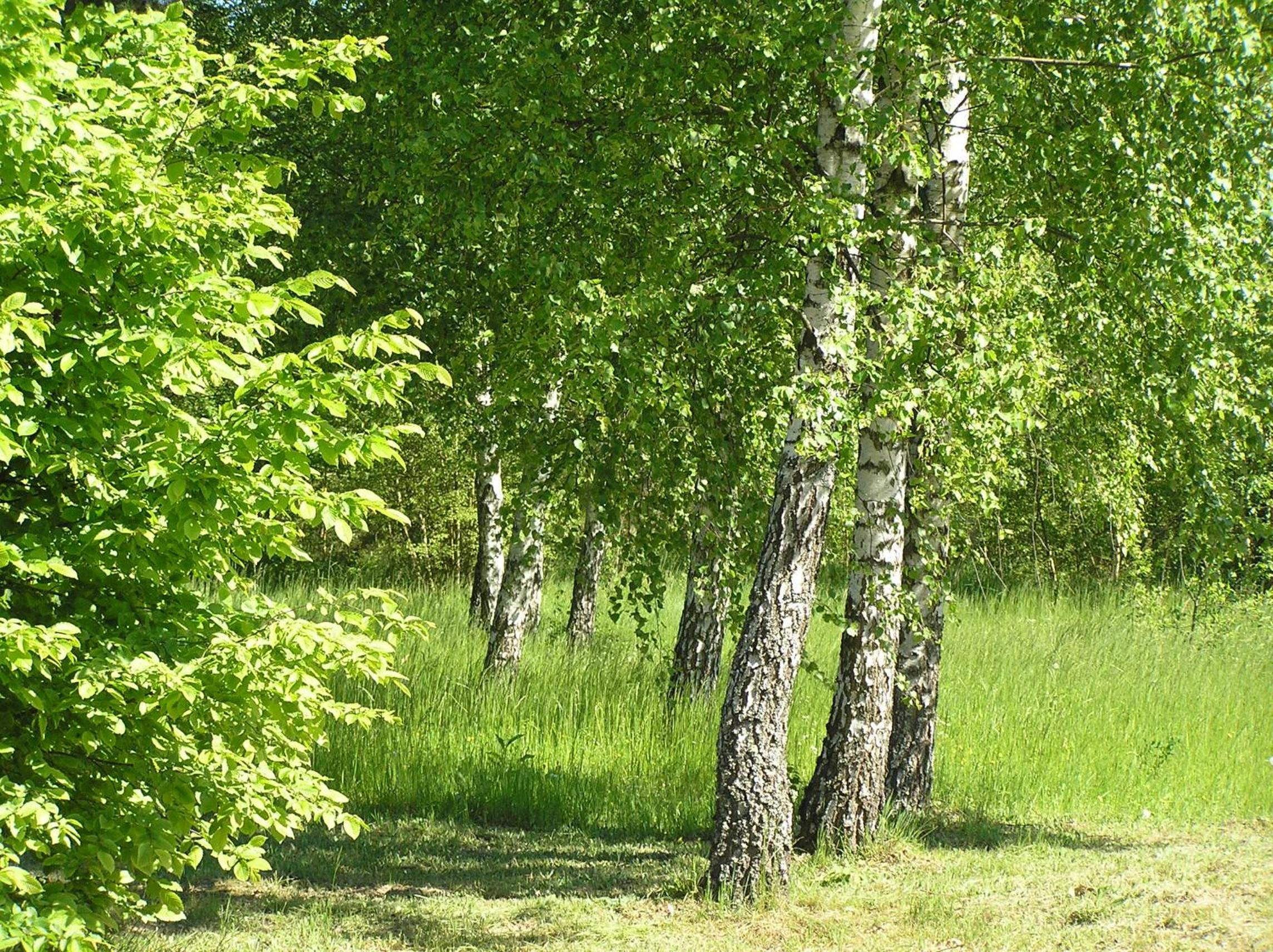 Wymój Park