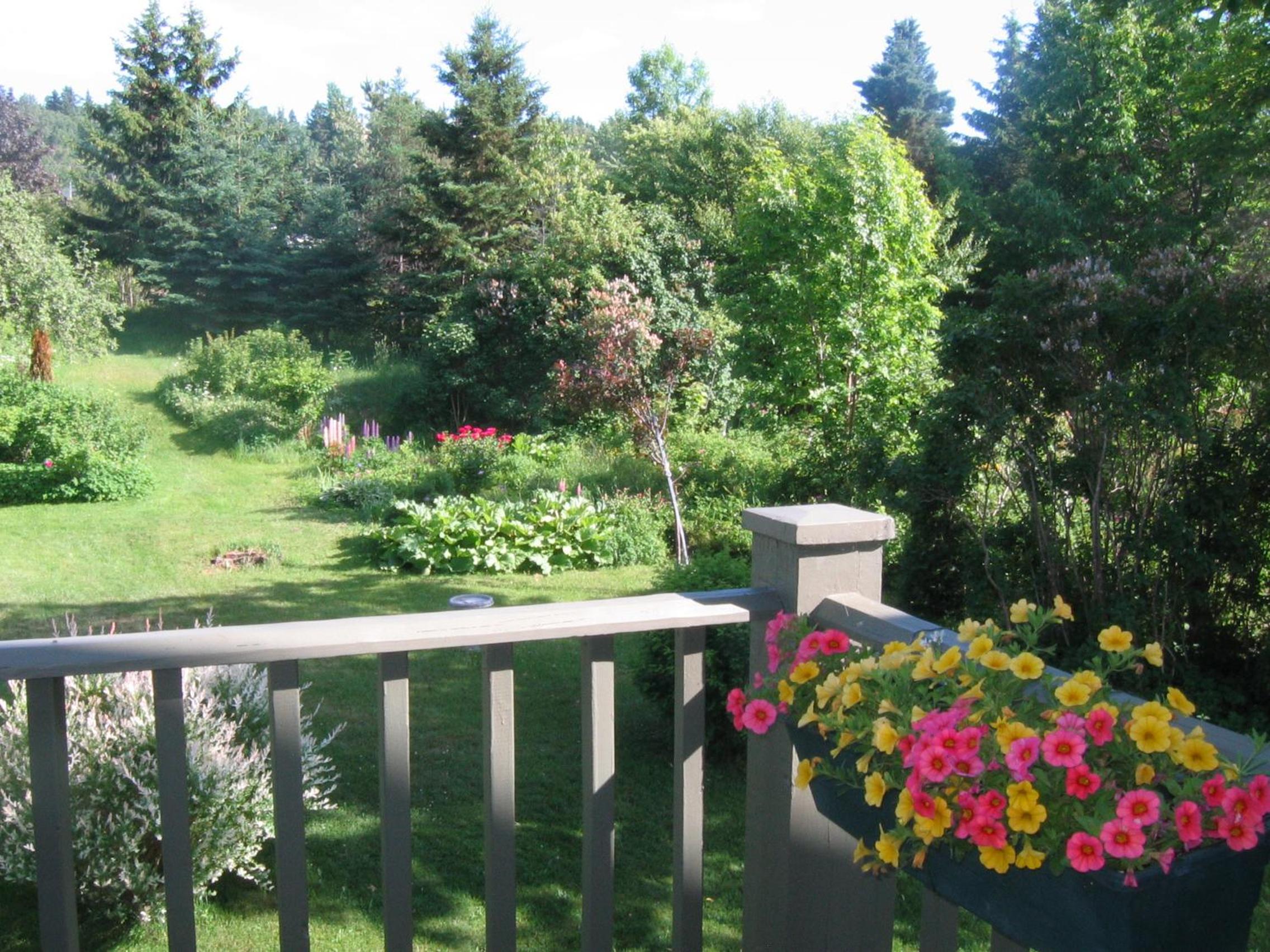 Photo 23