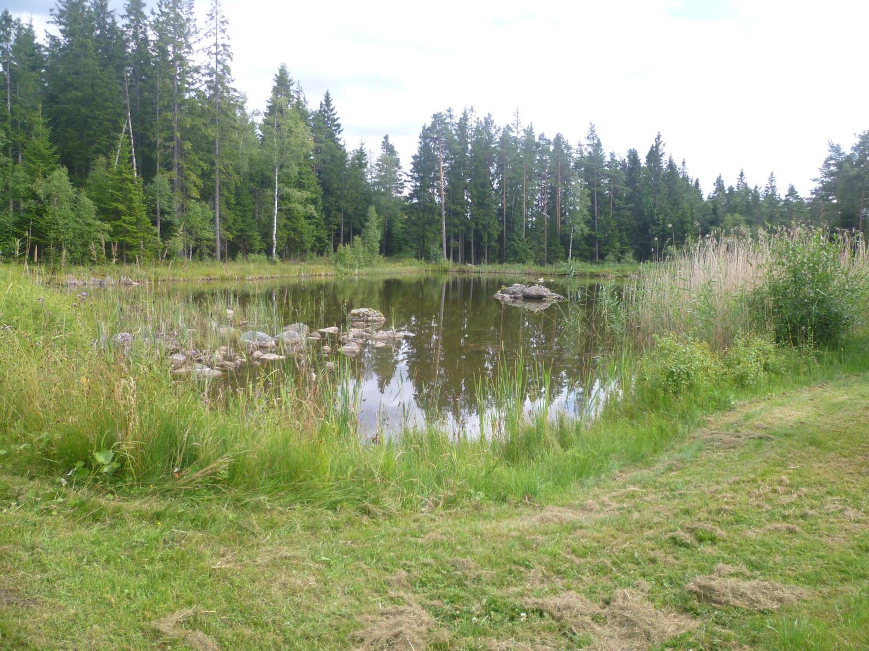 Photo 11