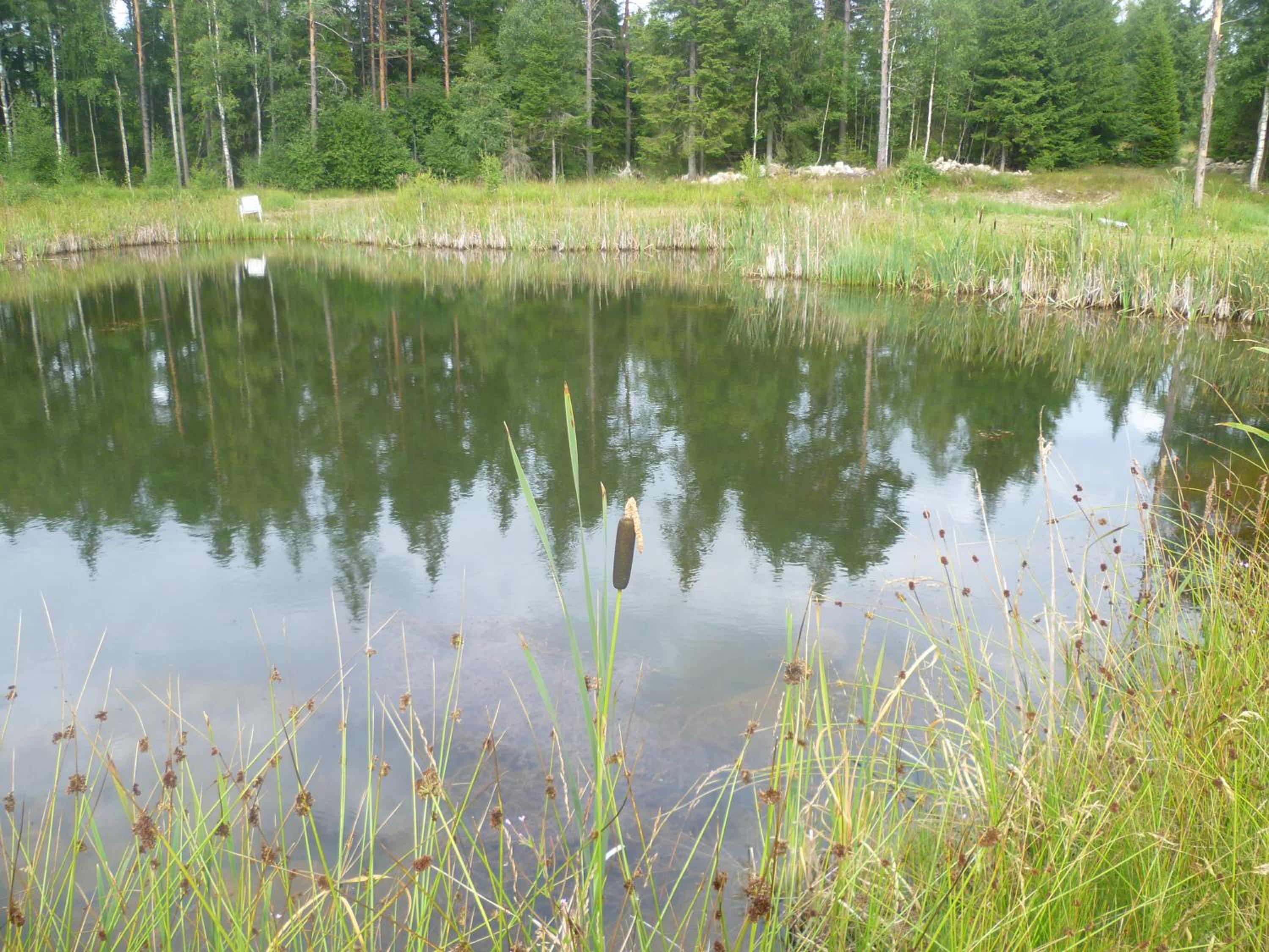 Photo 18