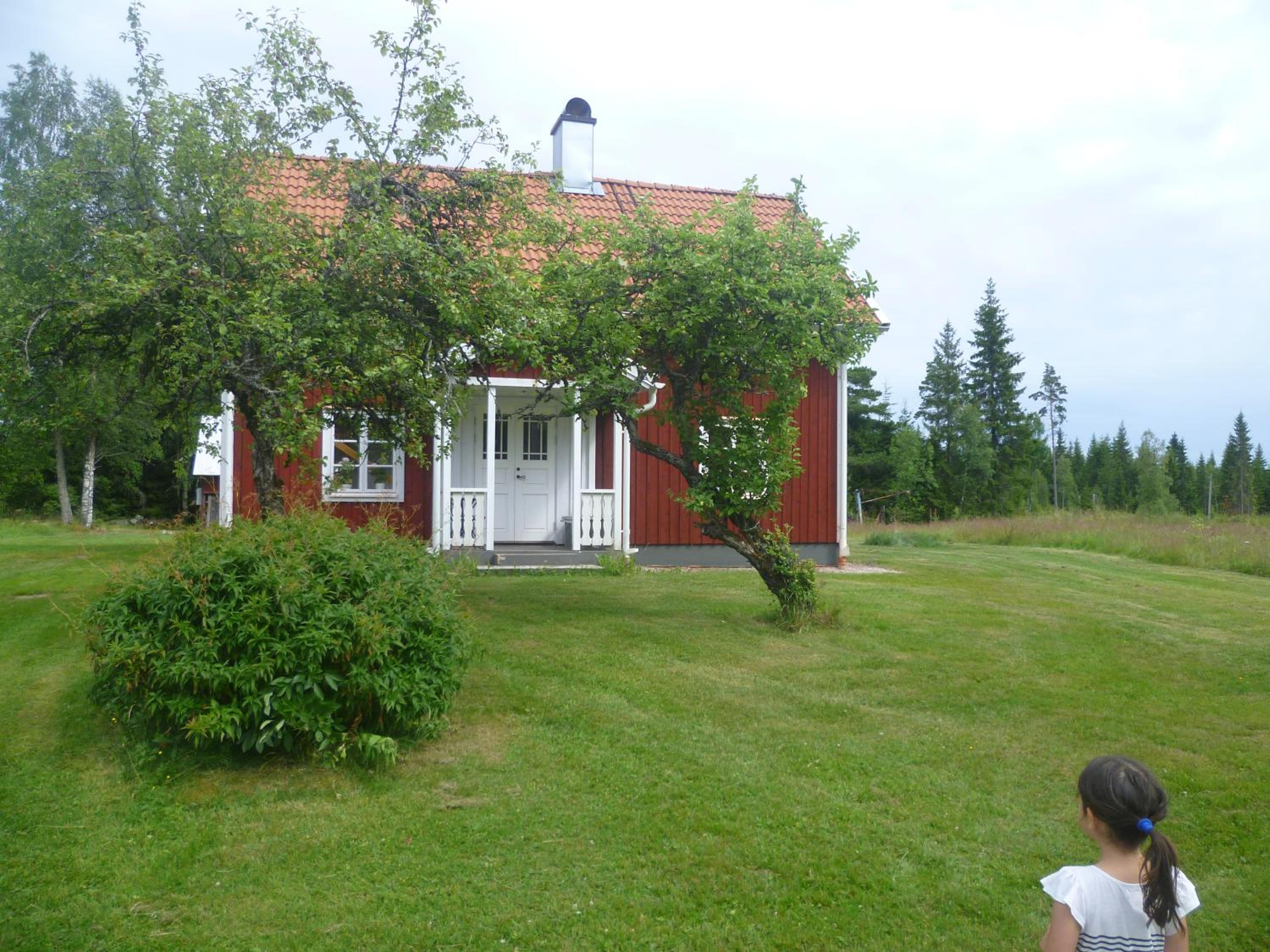 Photo 19