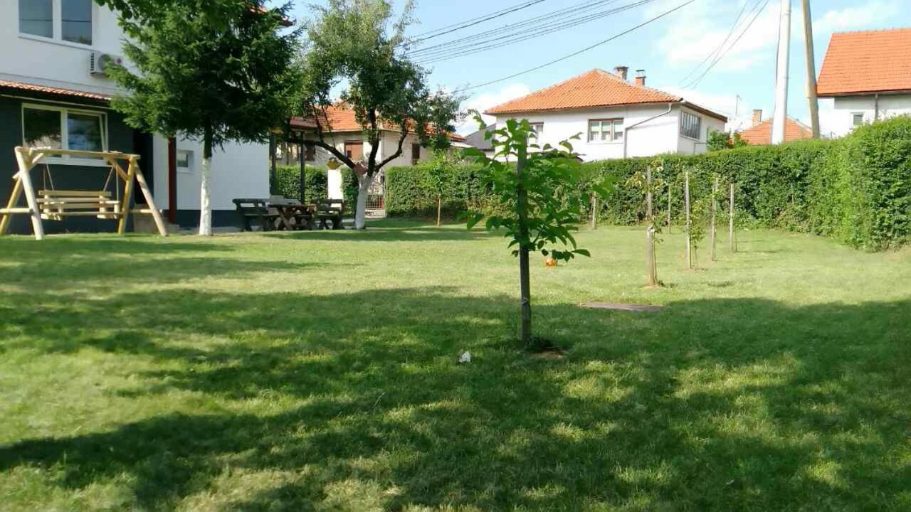 Photo 8