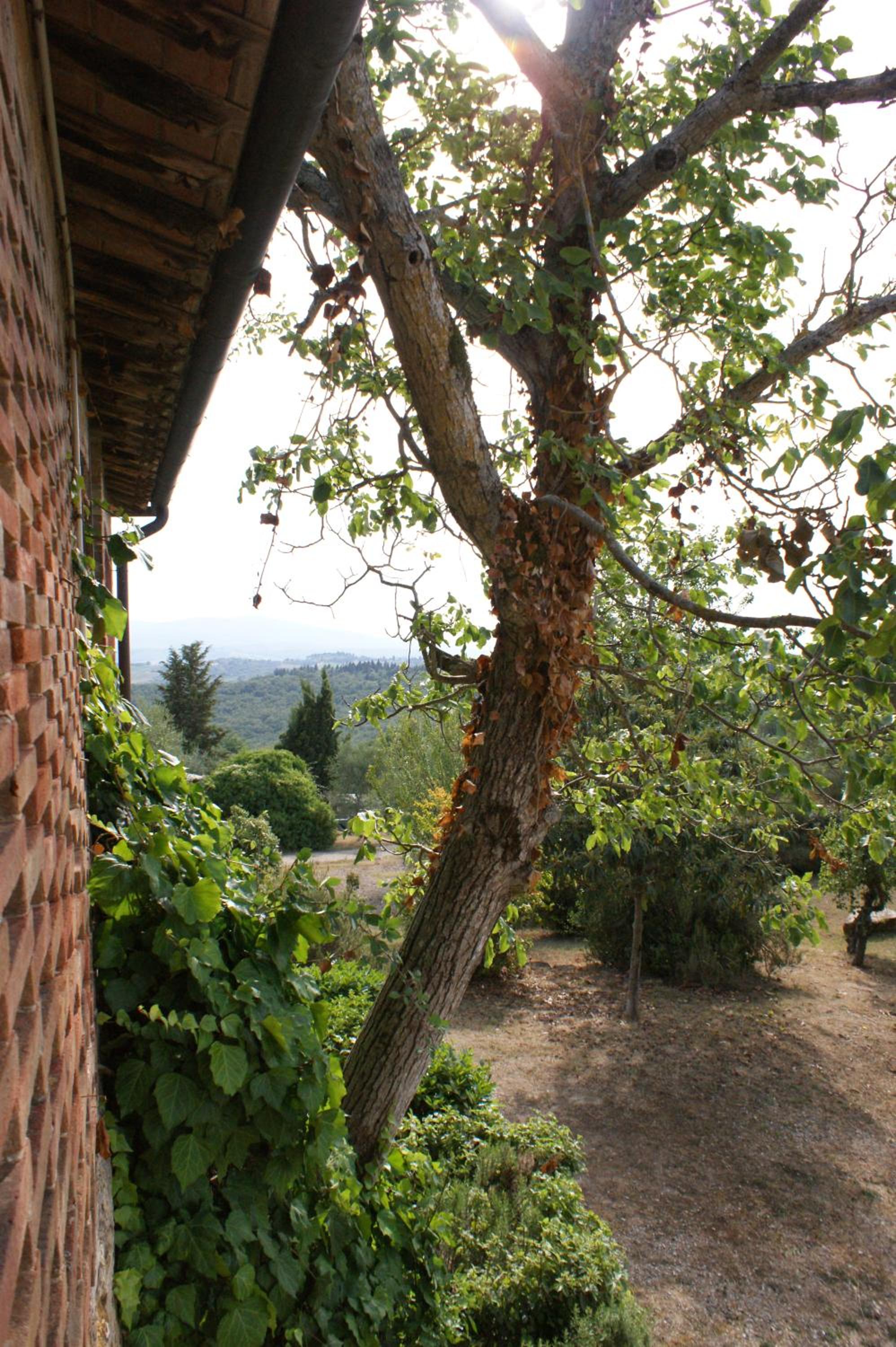 Casa Lucia in Chianti