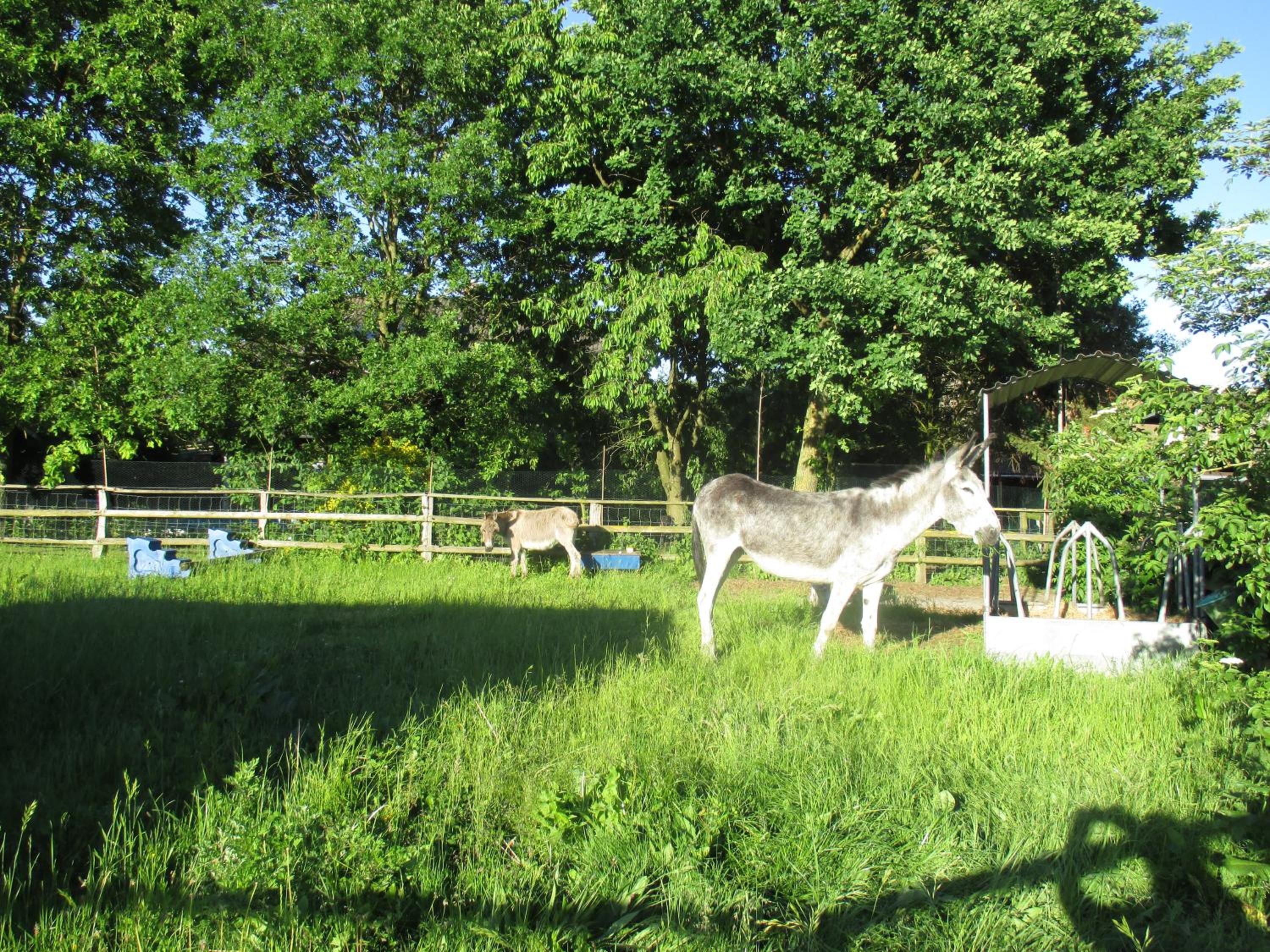 Photo 20