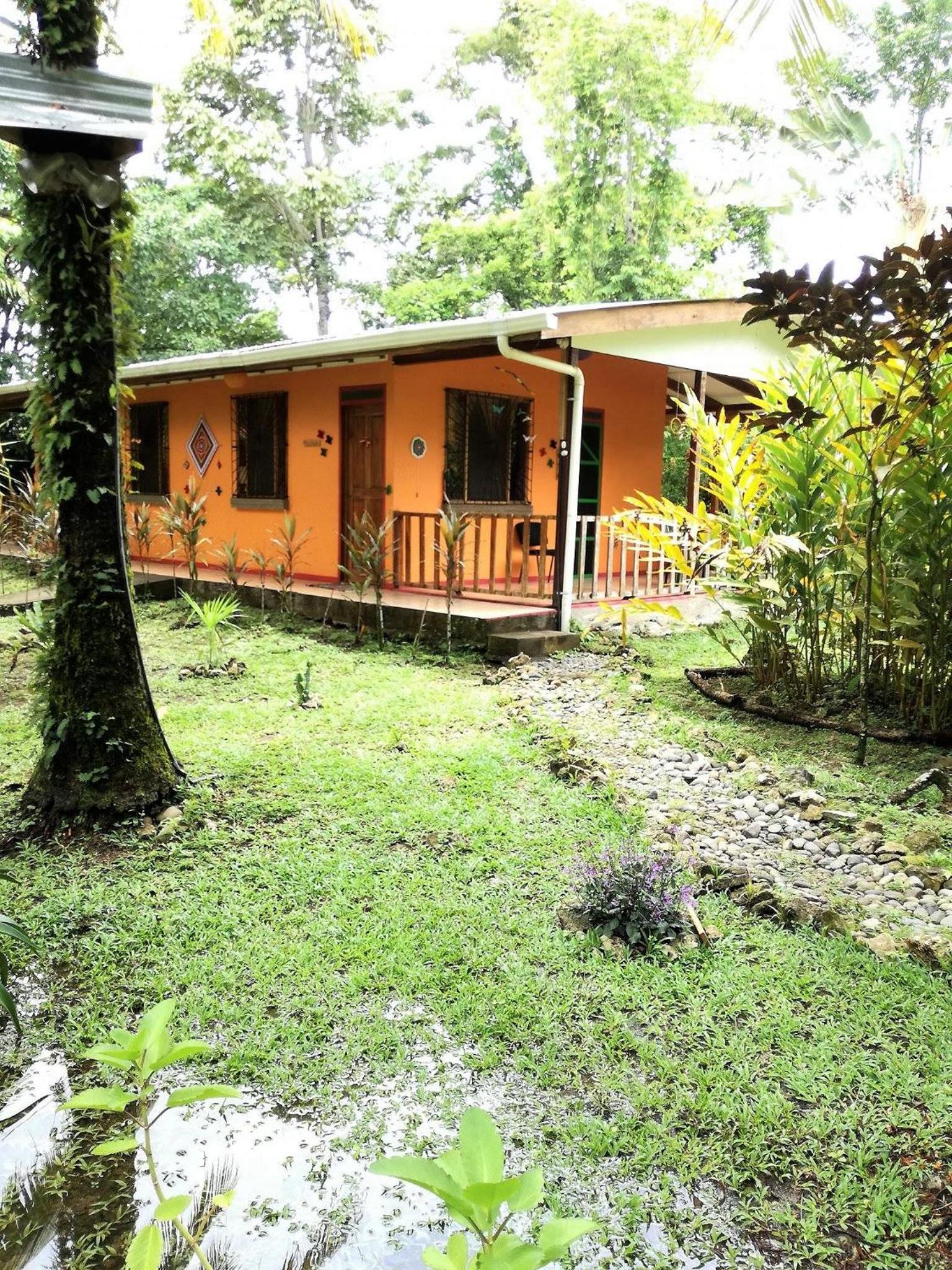 Photo 6