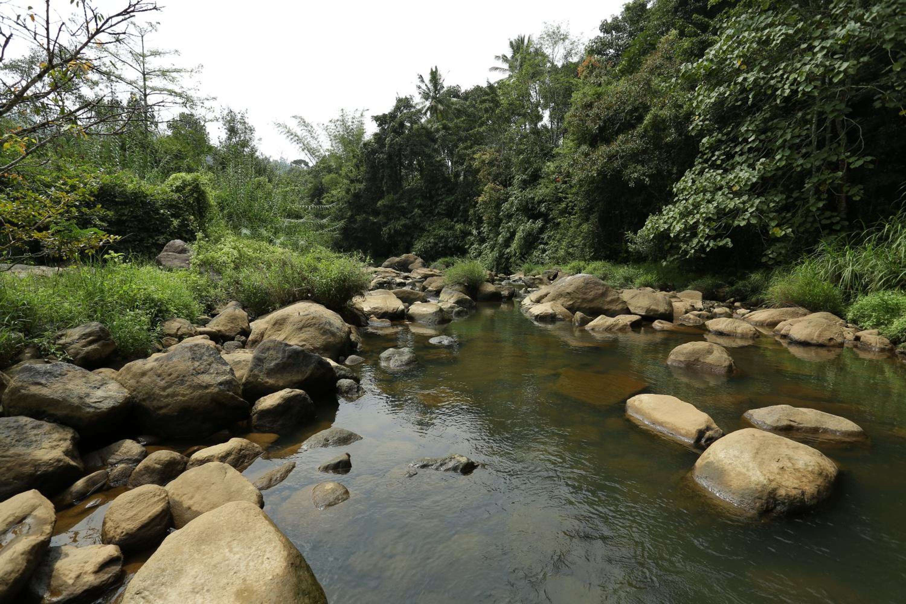 Ayursakthi Riverdale