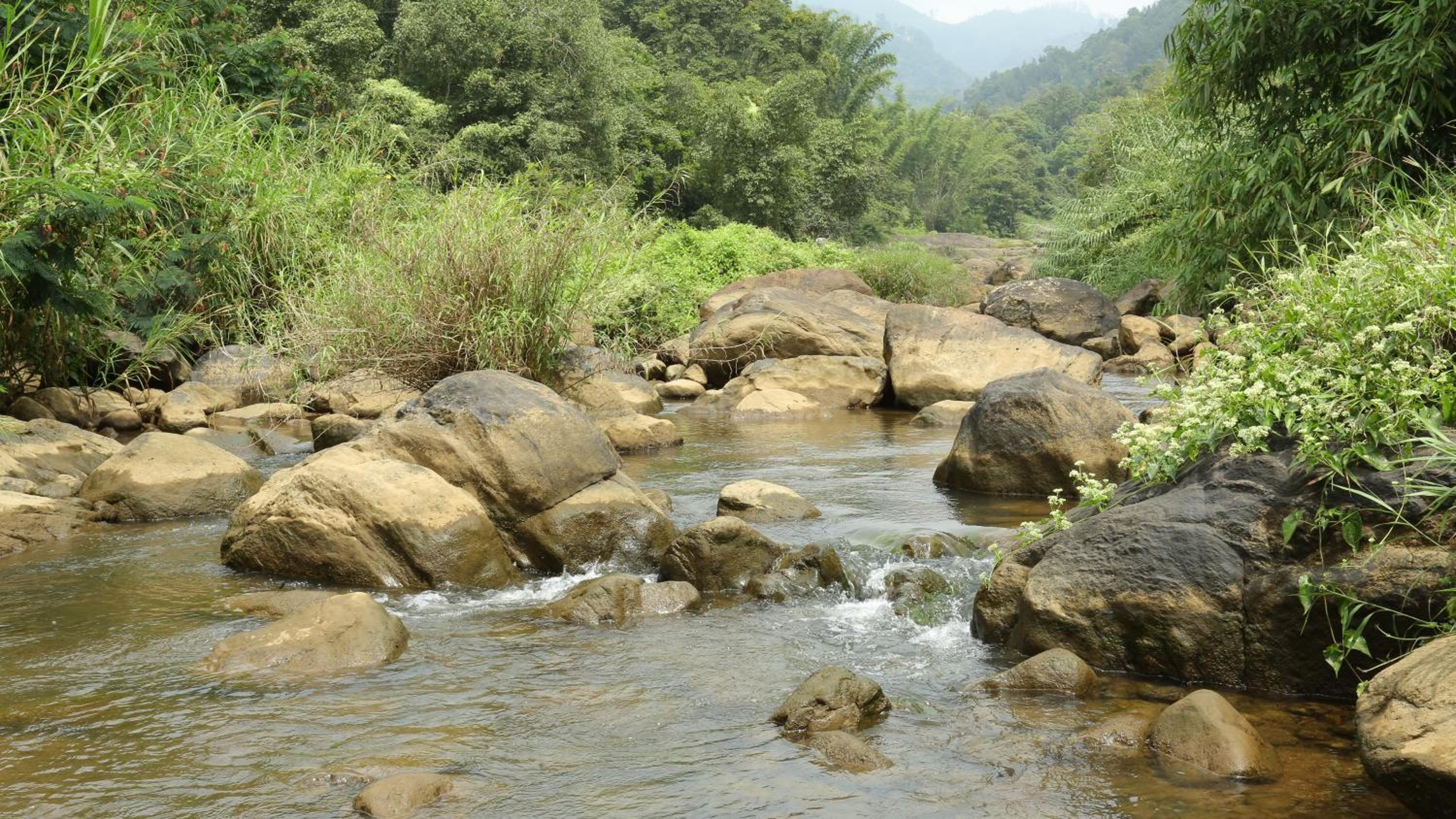 Munnar Vacations - Ayursakthi Riverdale - Property Image 13