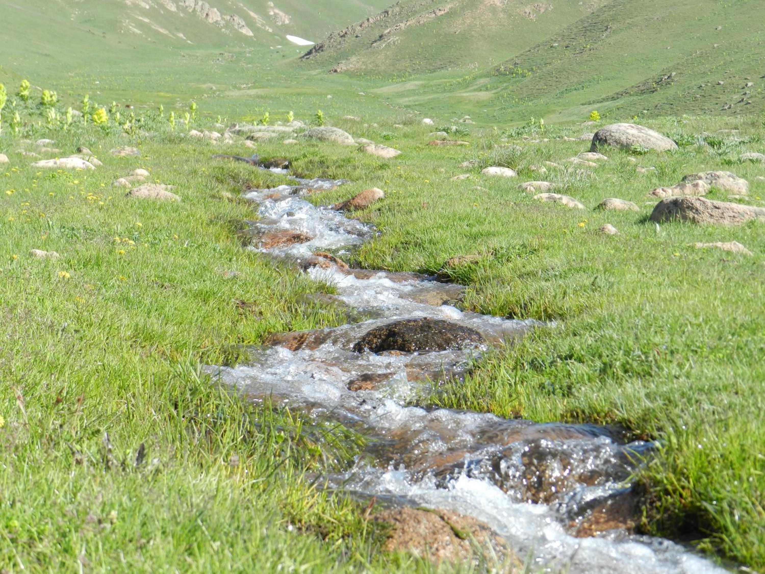 Photo 24