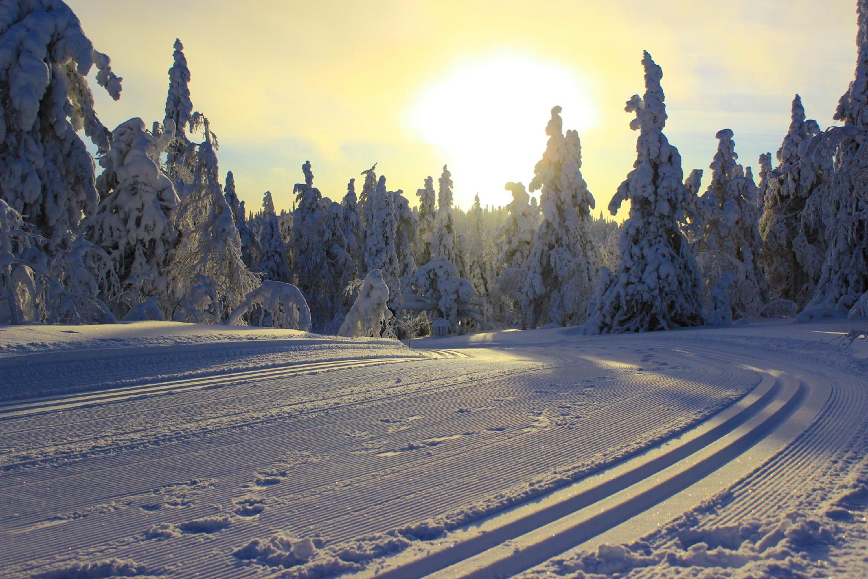 Photo 50