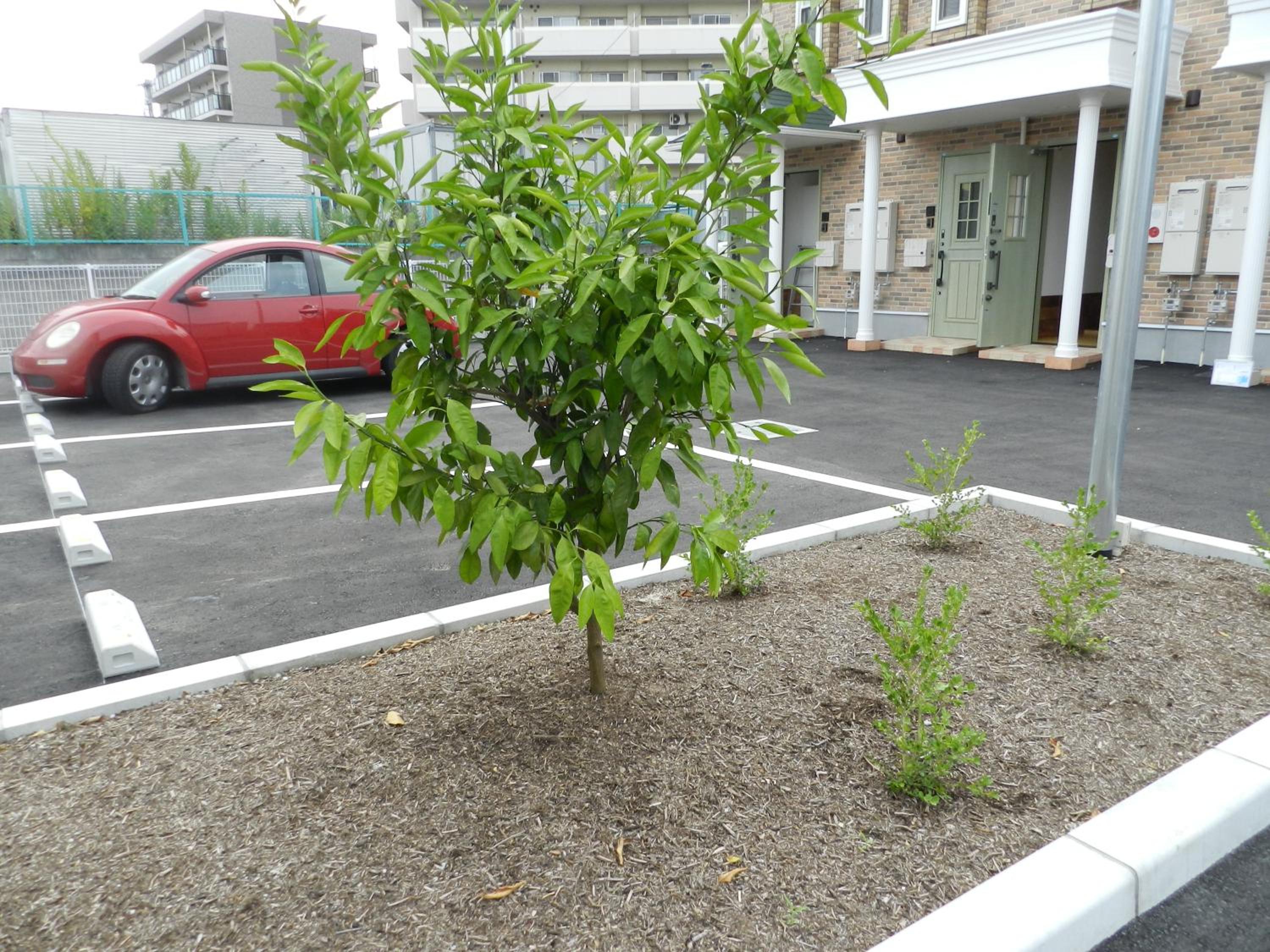 Photo 22
