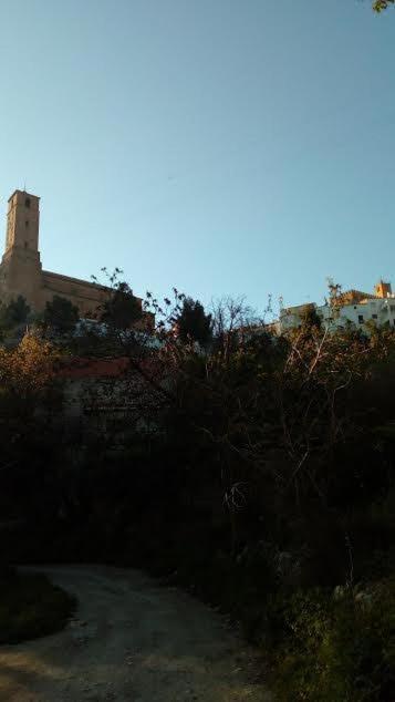 Photo 46