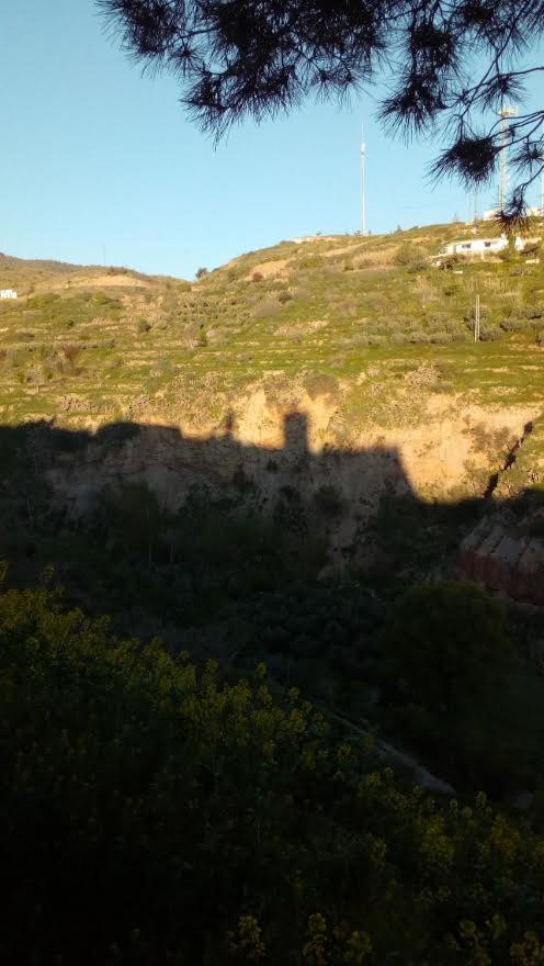 Photo 43