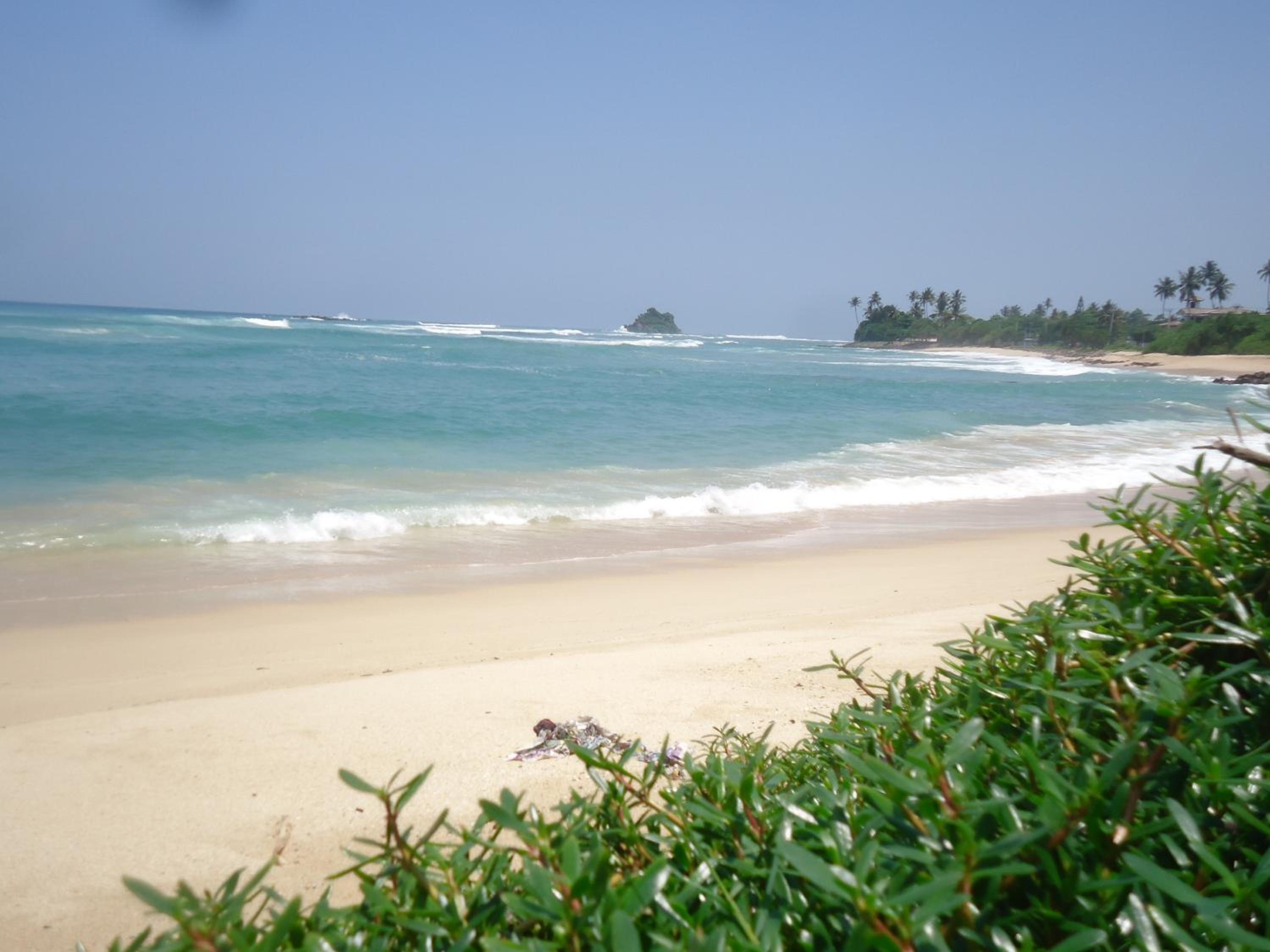 Photo 45