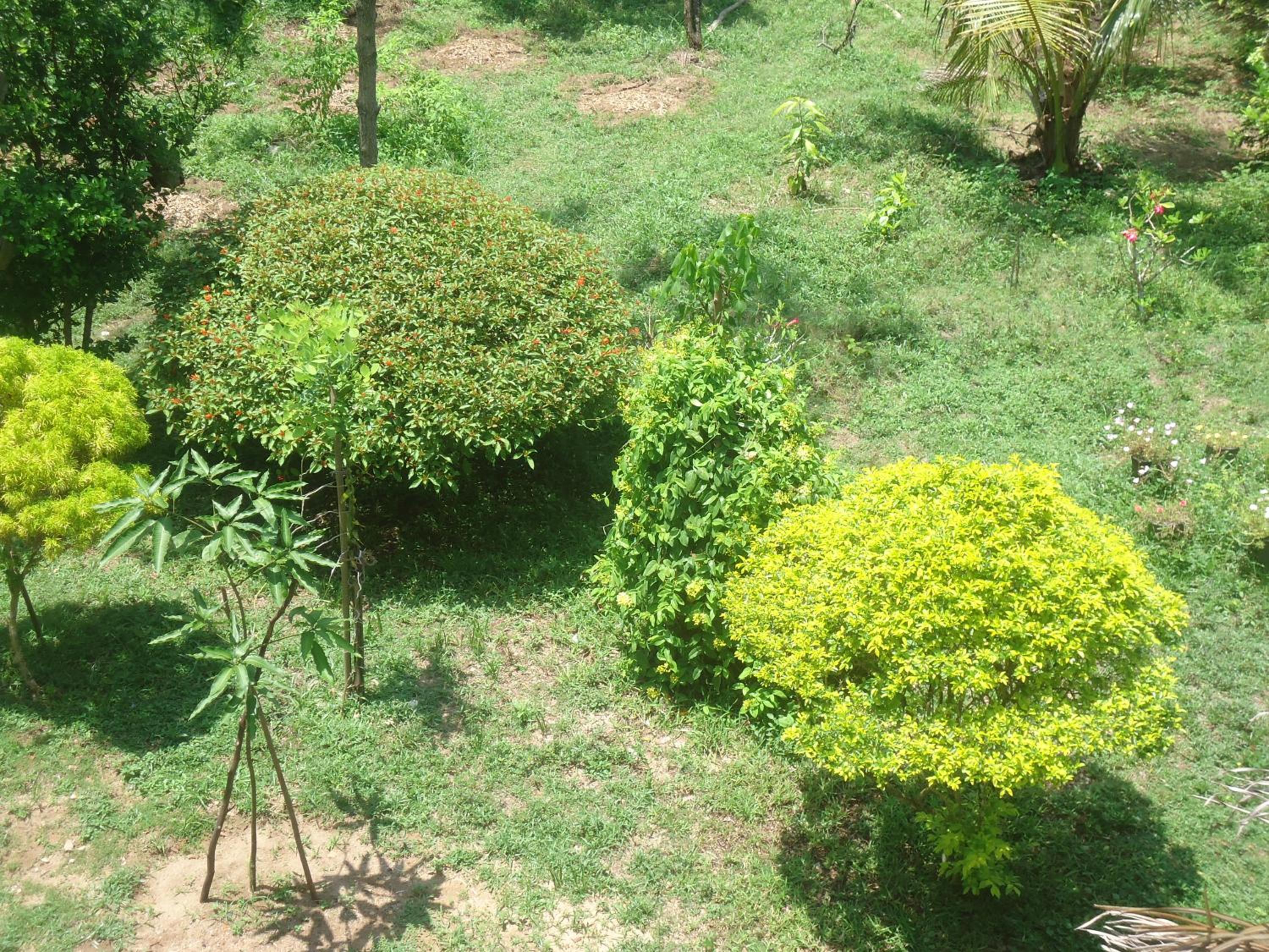 Photo 49