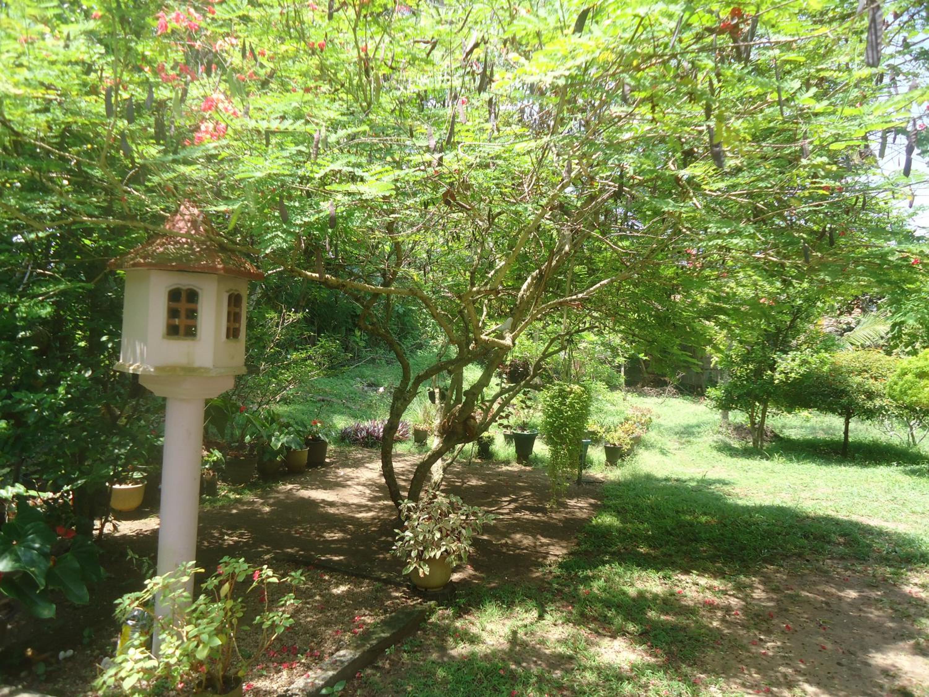 Photo 51