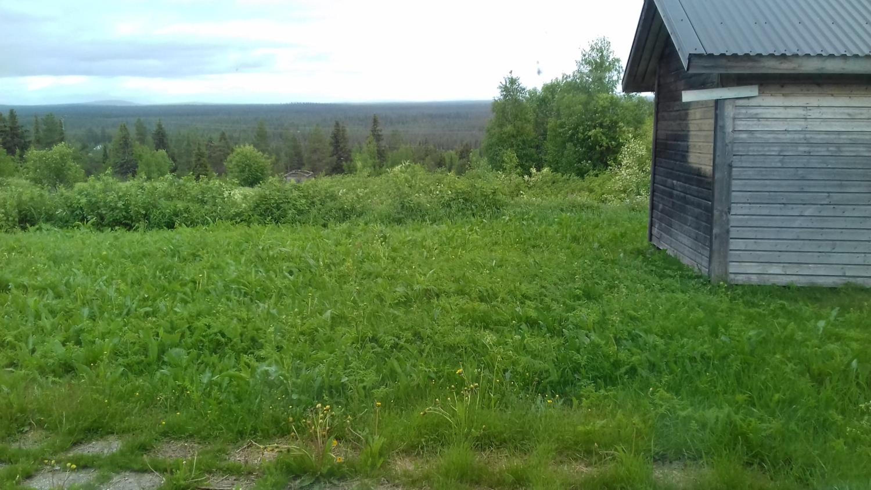 Photo 44