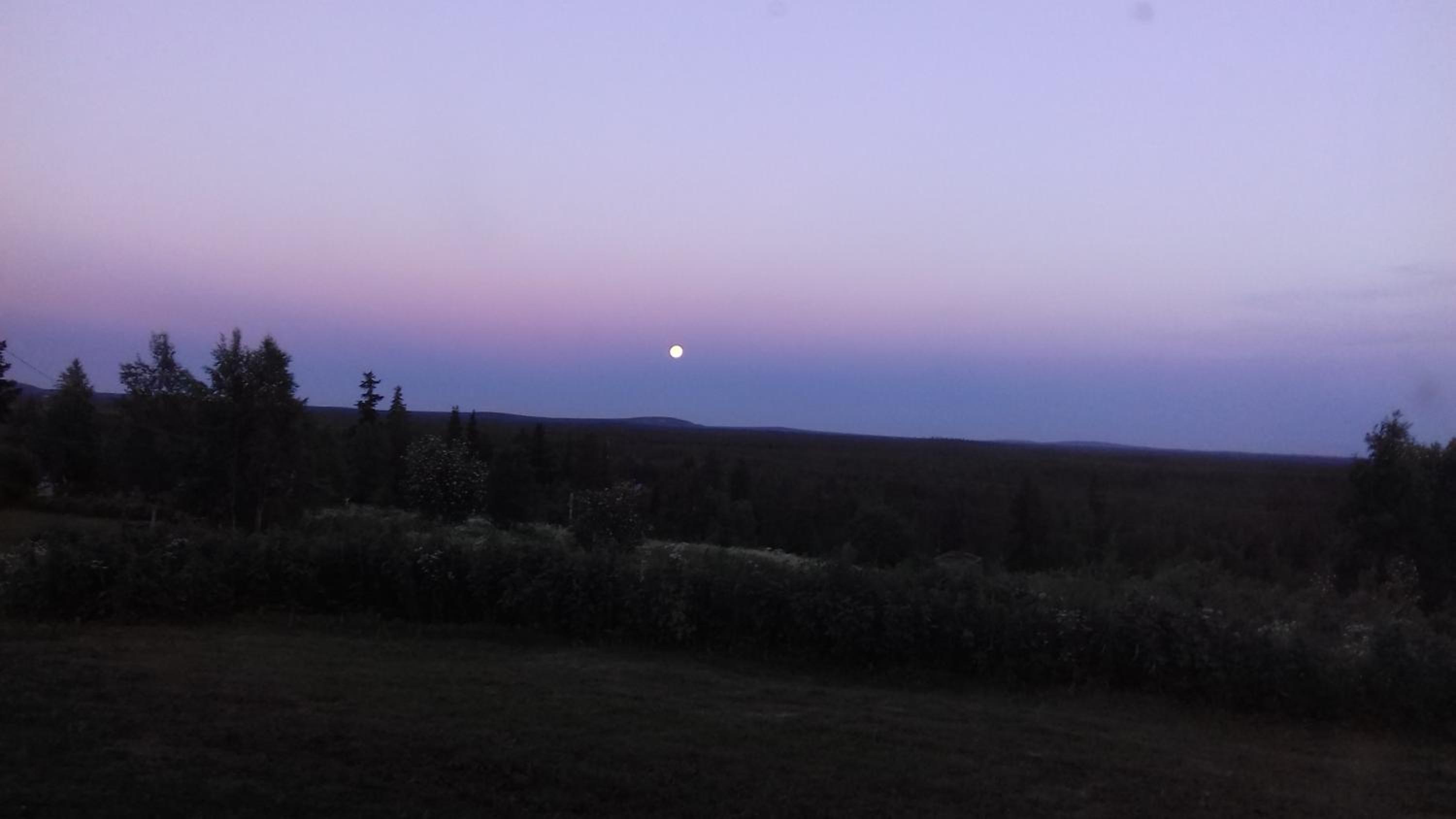 Photo 54
