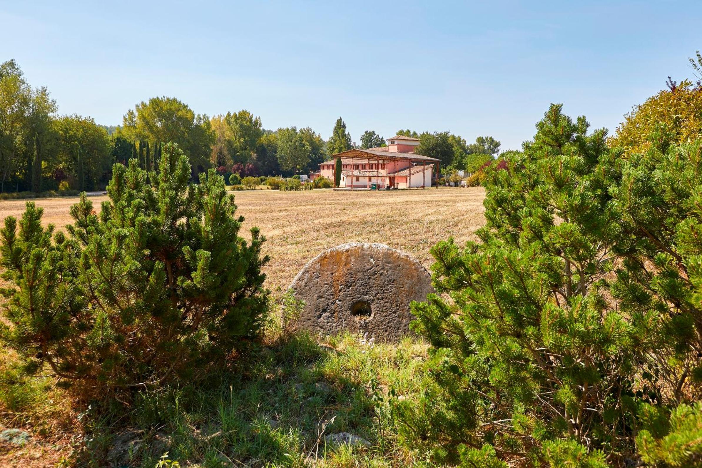 Agriturismo Il Molino Antico - 5 Girasoli view 5