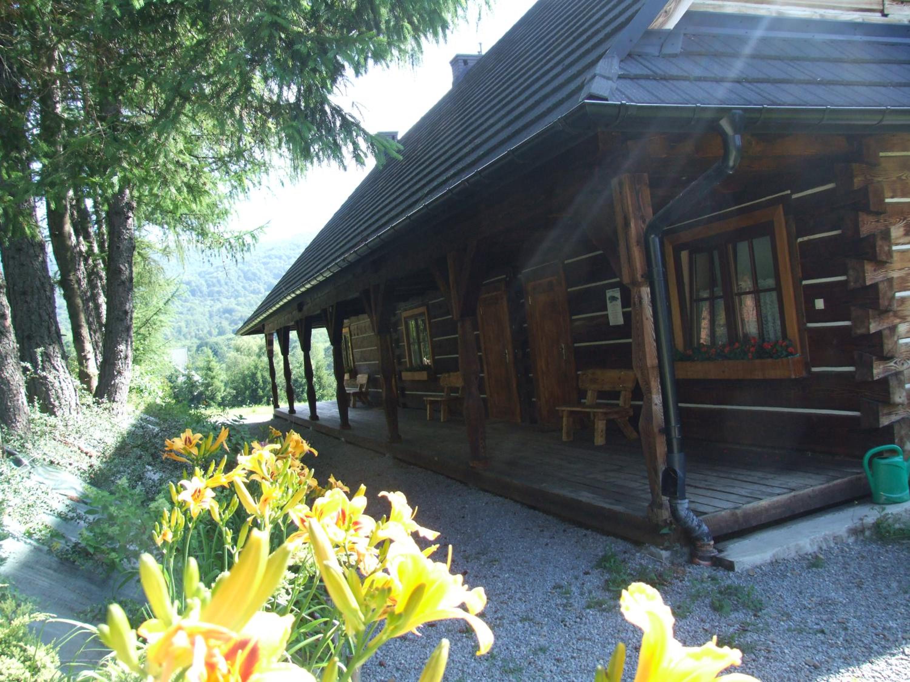 Photo 13