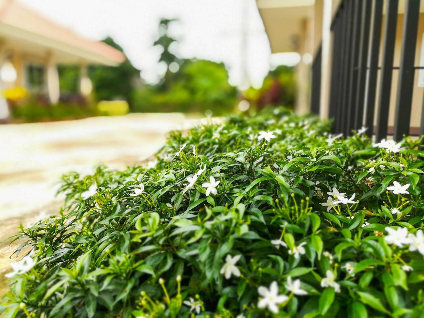 Deva Garden Resort