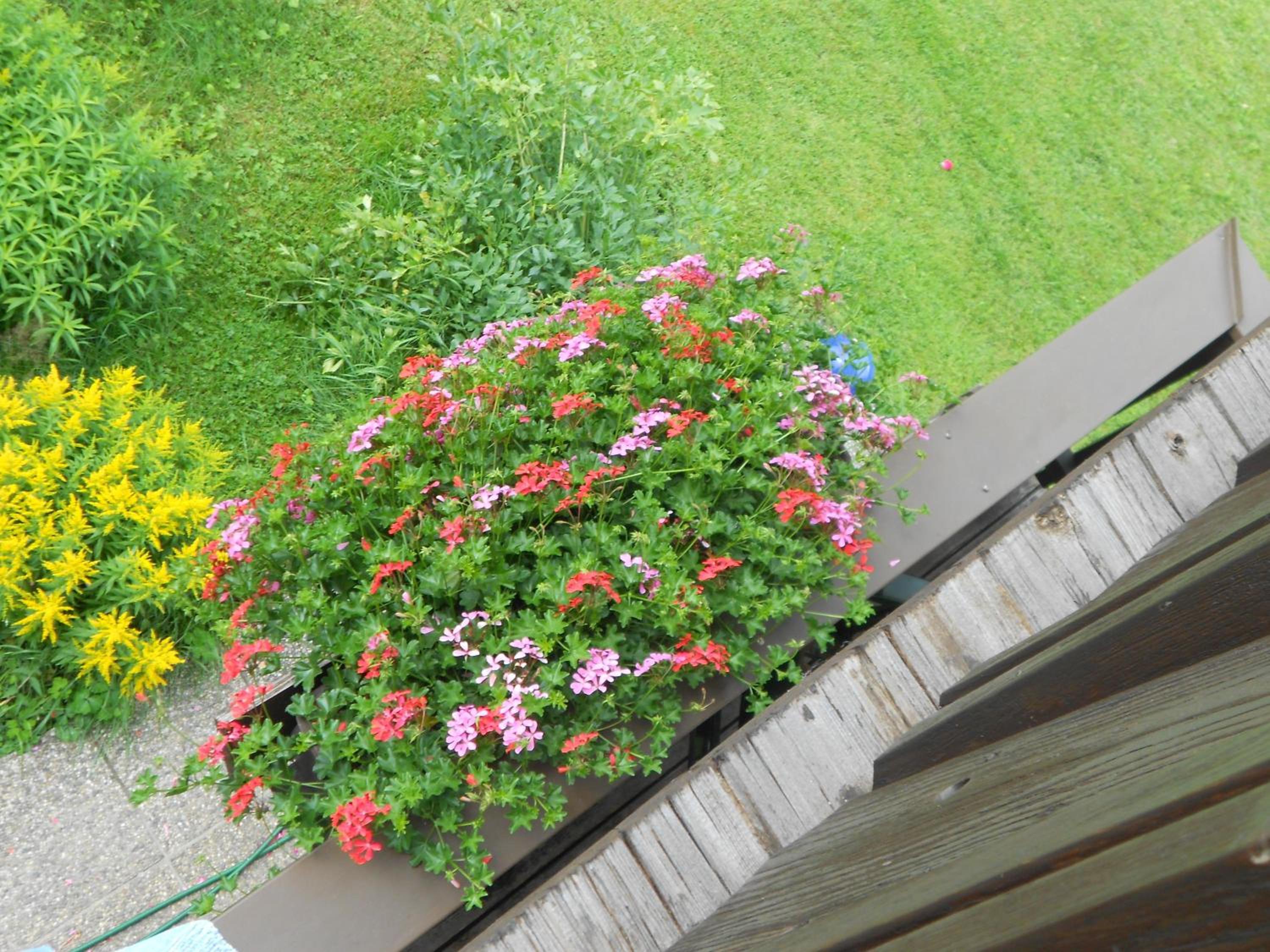 Pension Moser