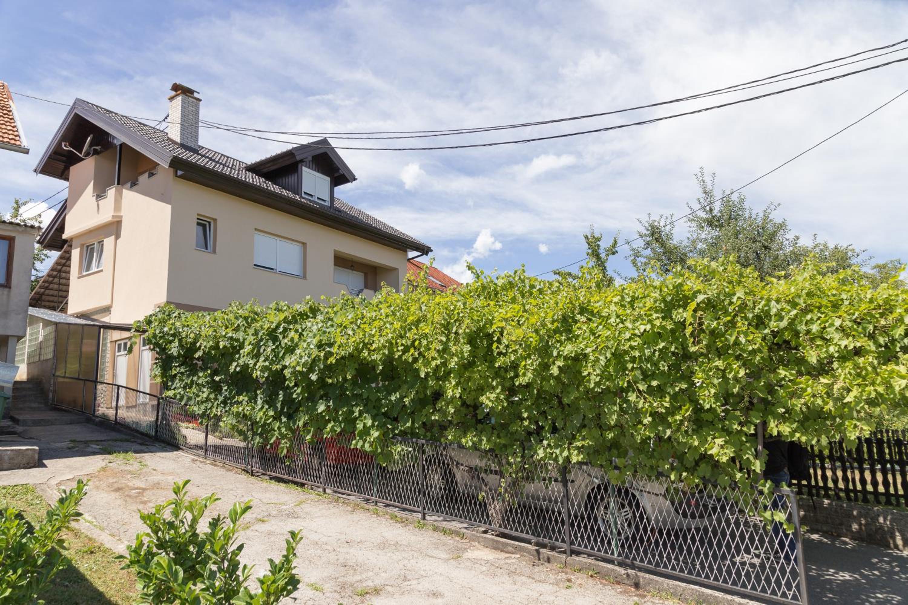 Photo 42