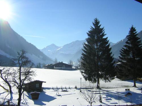 Pension Moser
