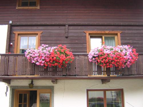 Pension Moser