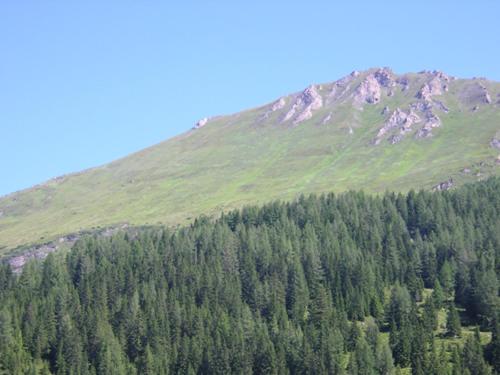 Pension Moser