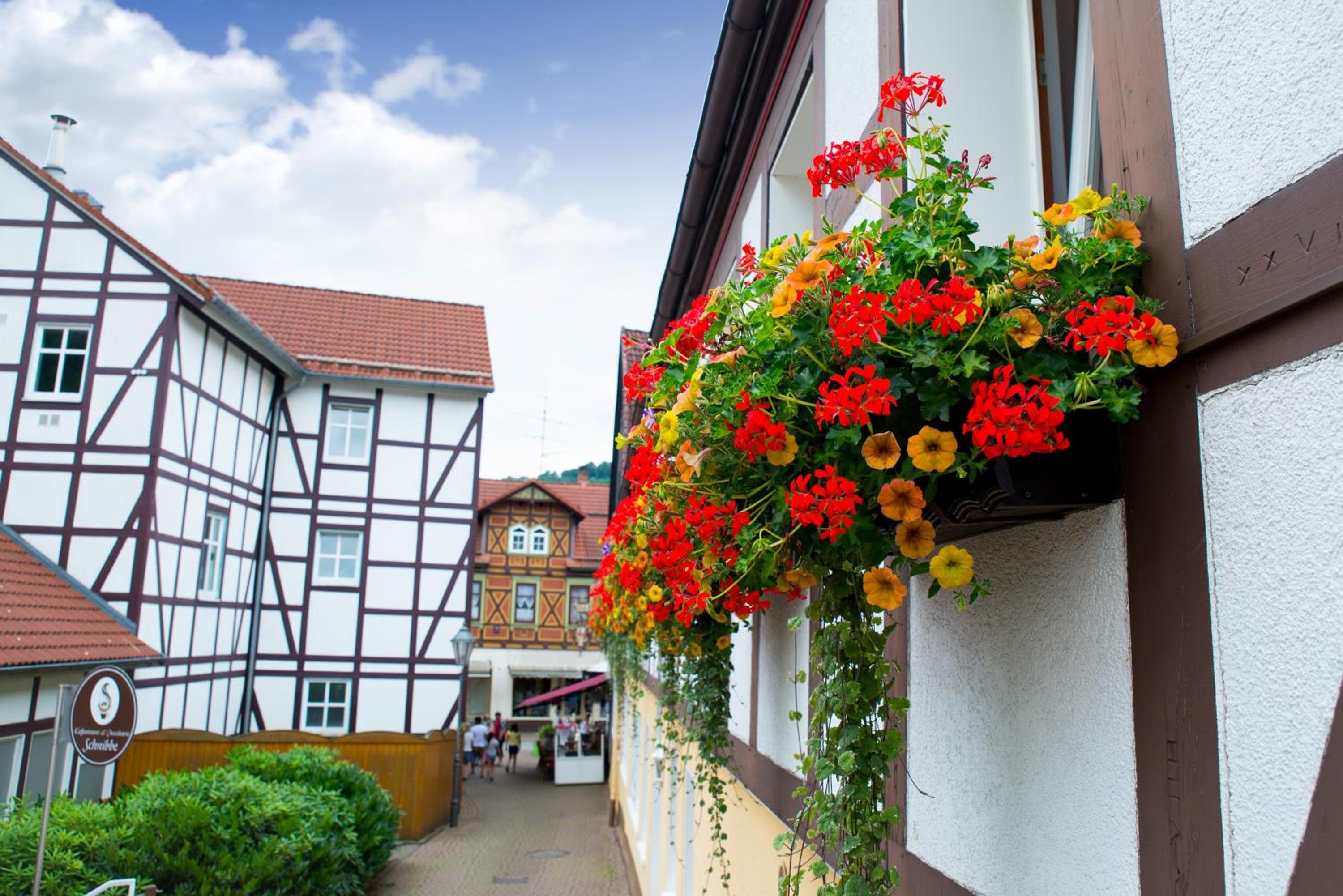 Ferienapartments Schnibbe view 4