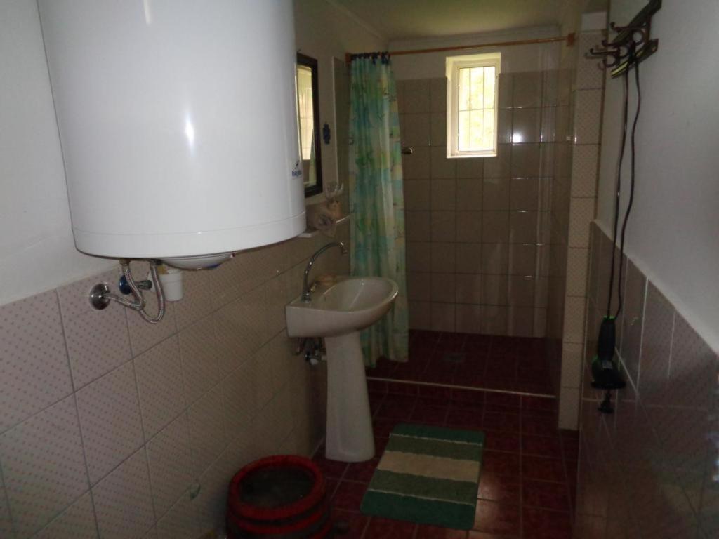 Photo 43