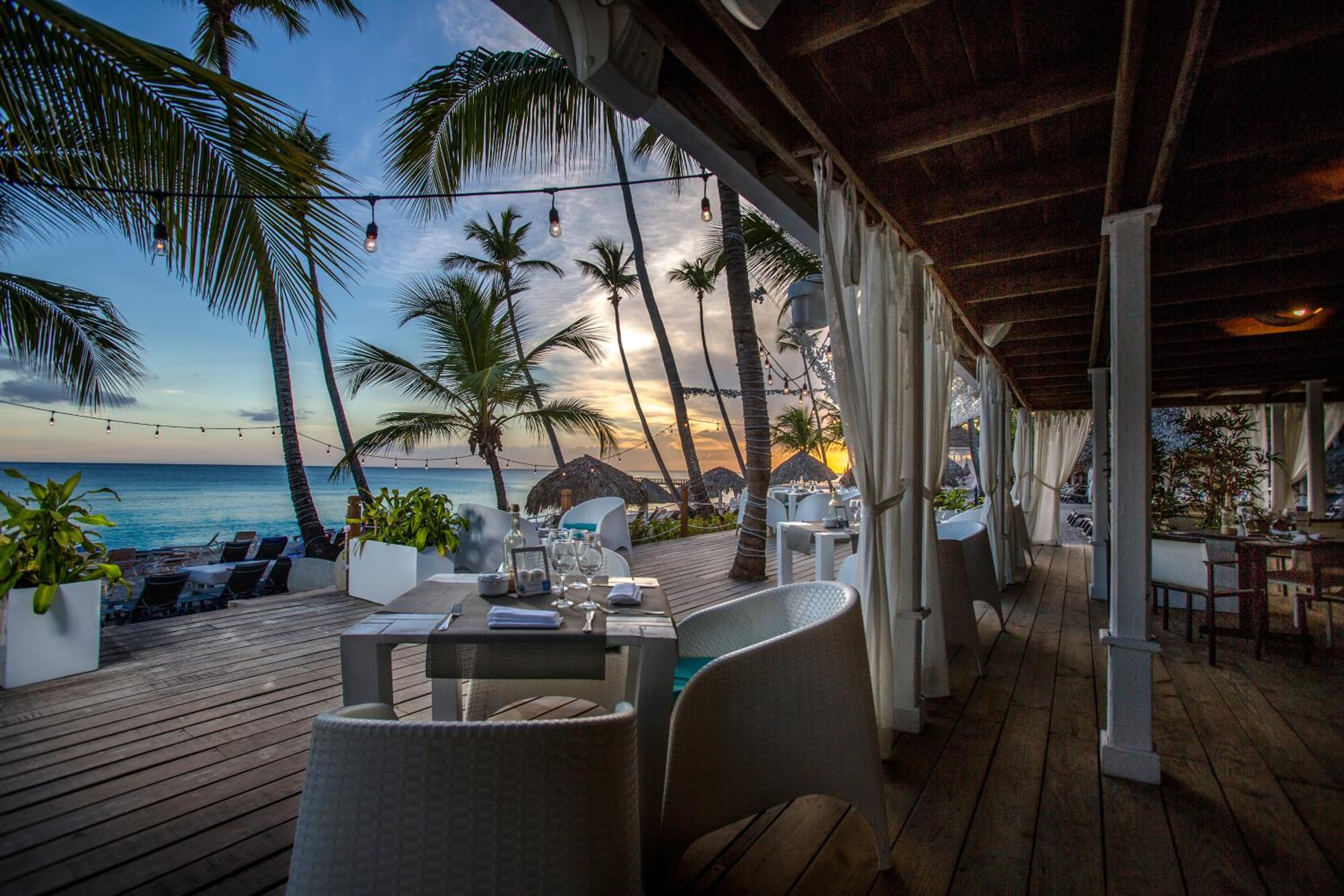 Catalonia Royal La Romana Adults Only - All Inclusive - Property Image 49