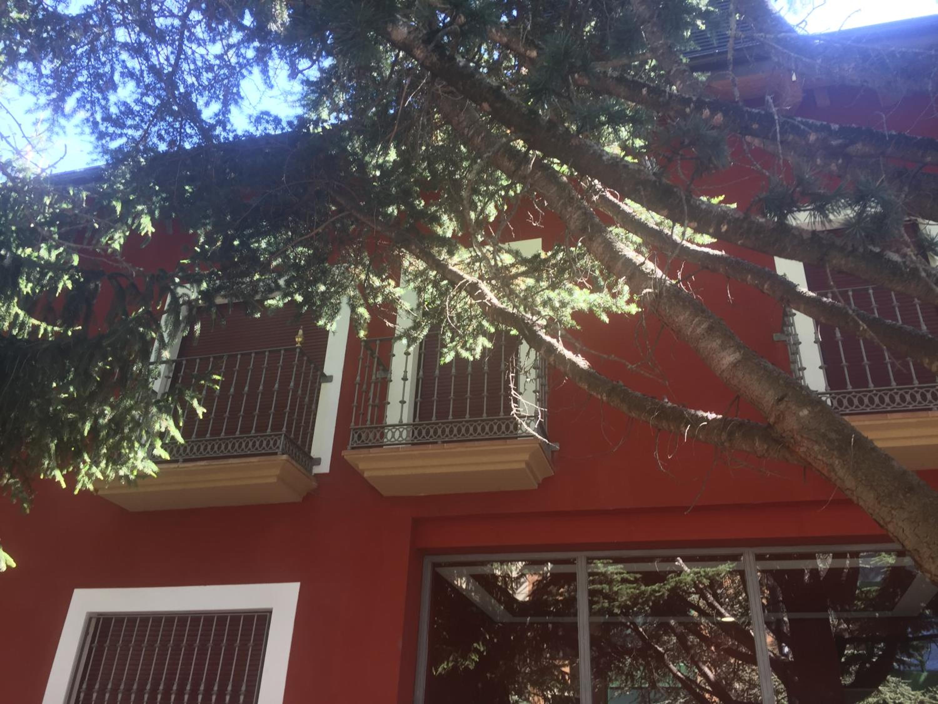 Ático Balcon De Jaca II