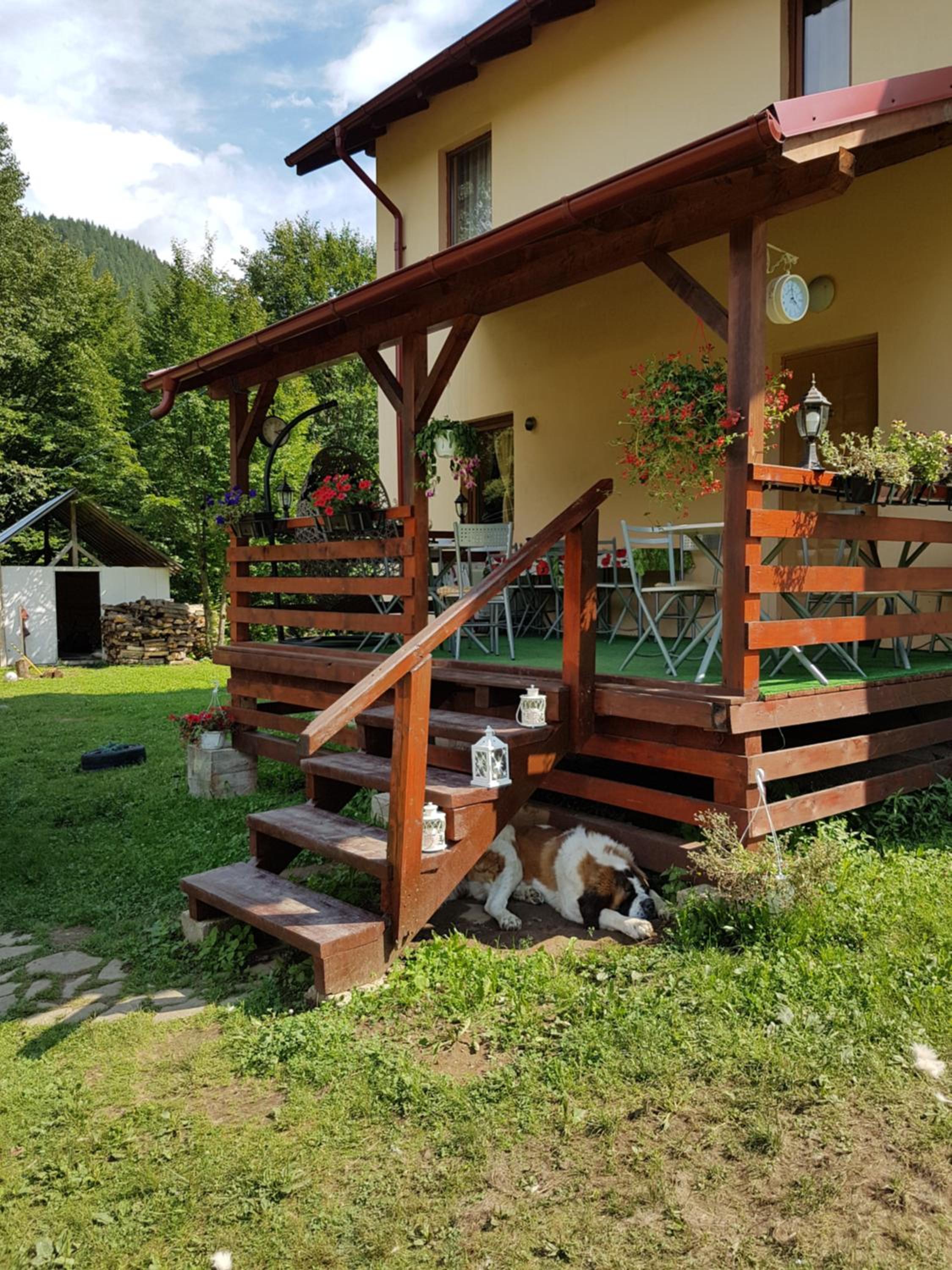 Photo 25