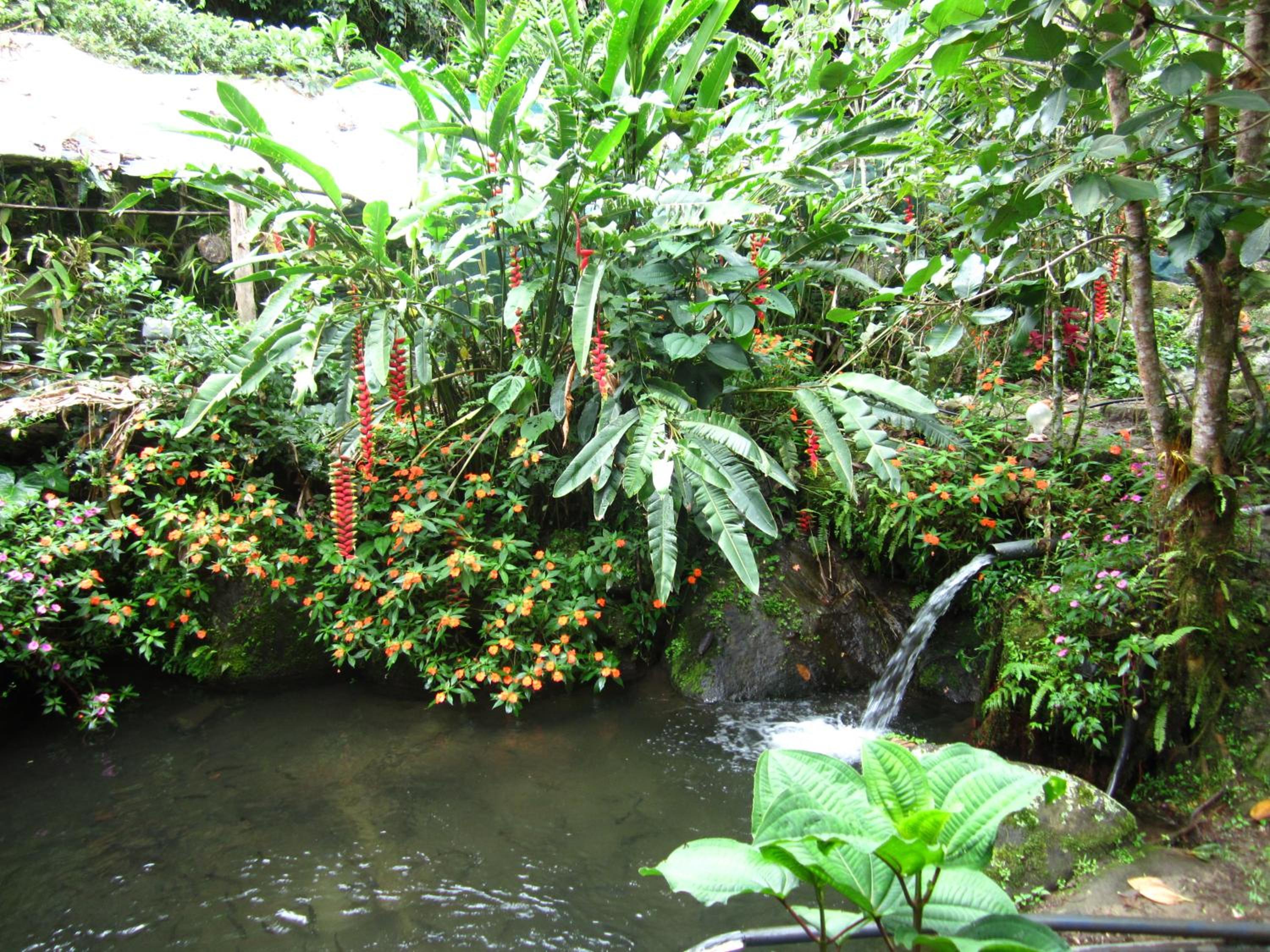 Photo 9