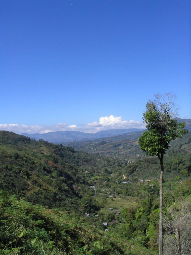 Photo 51