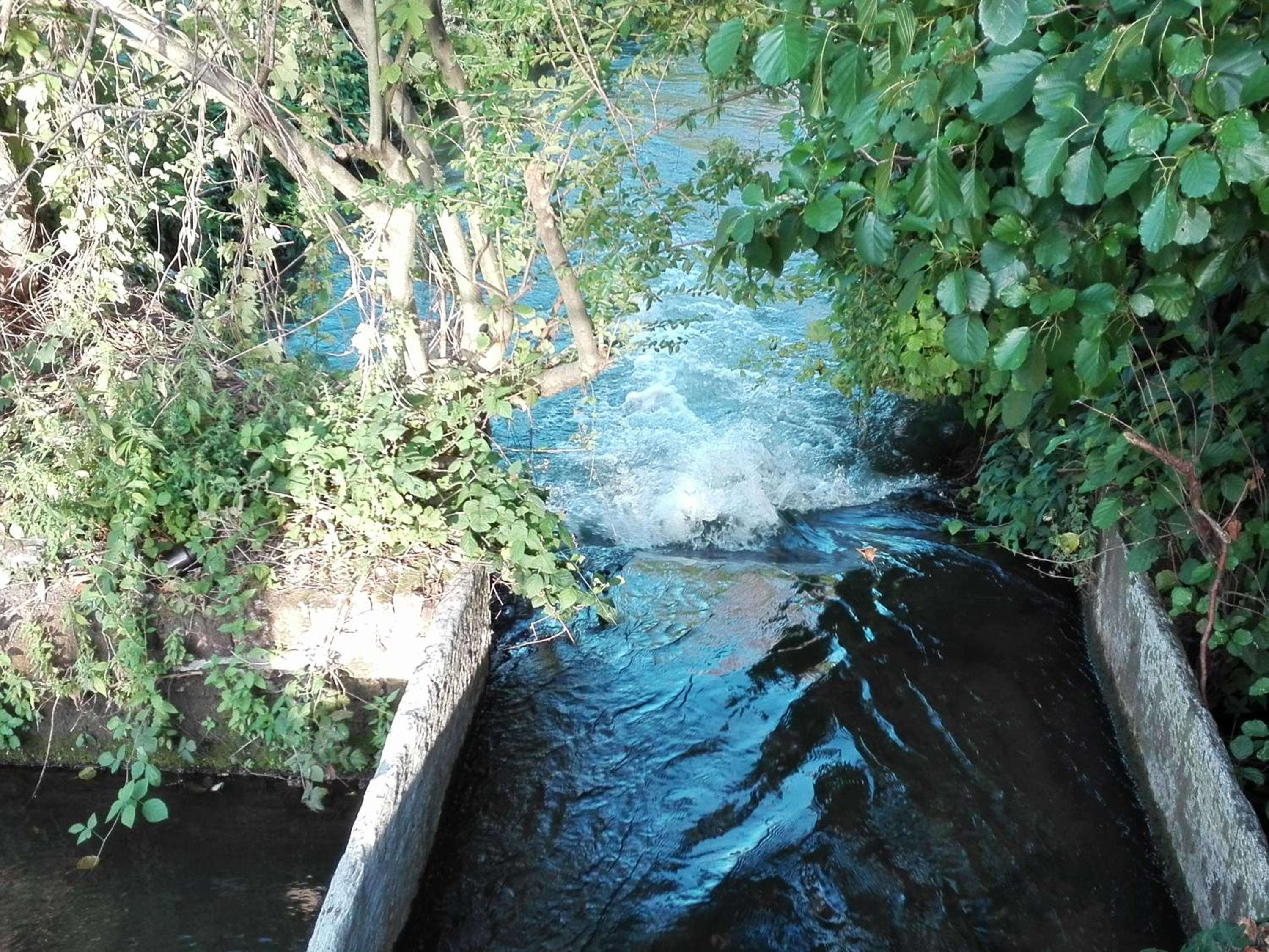 Photo 33