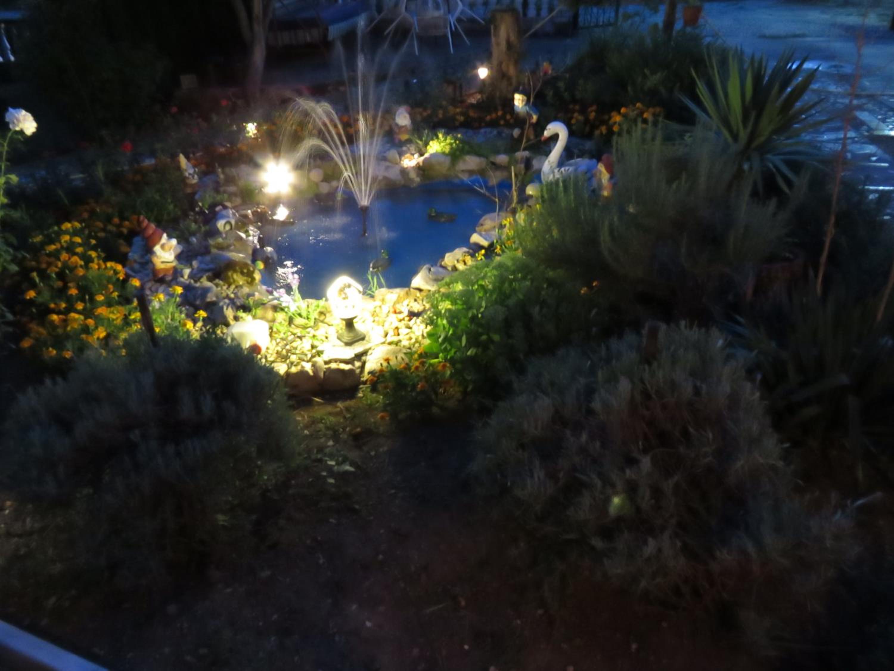 Photo 34