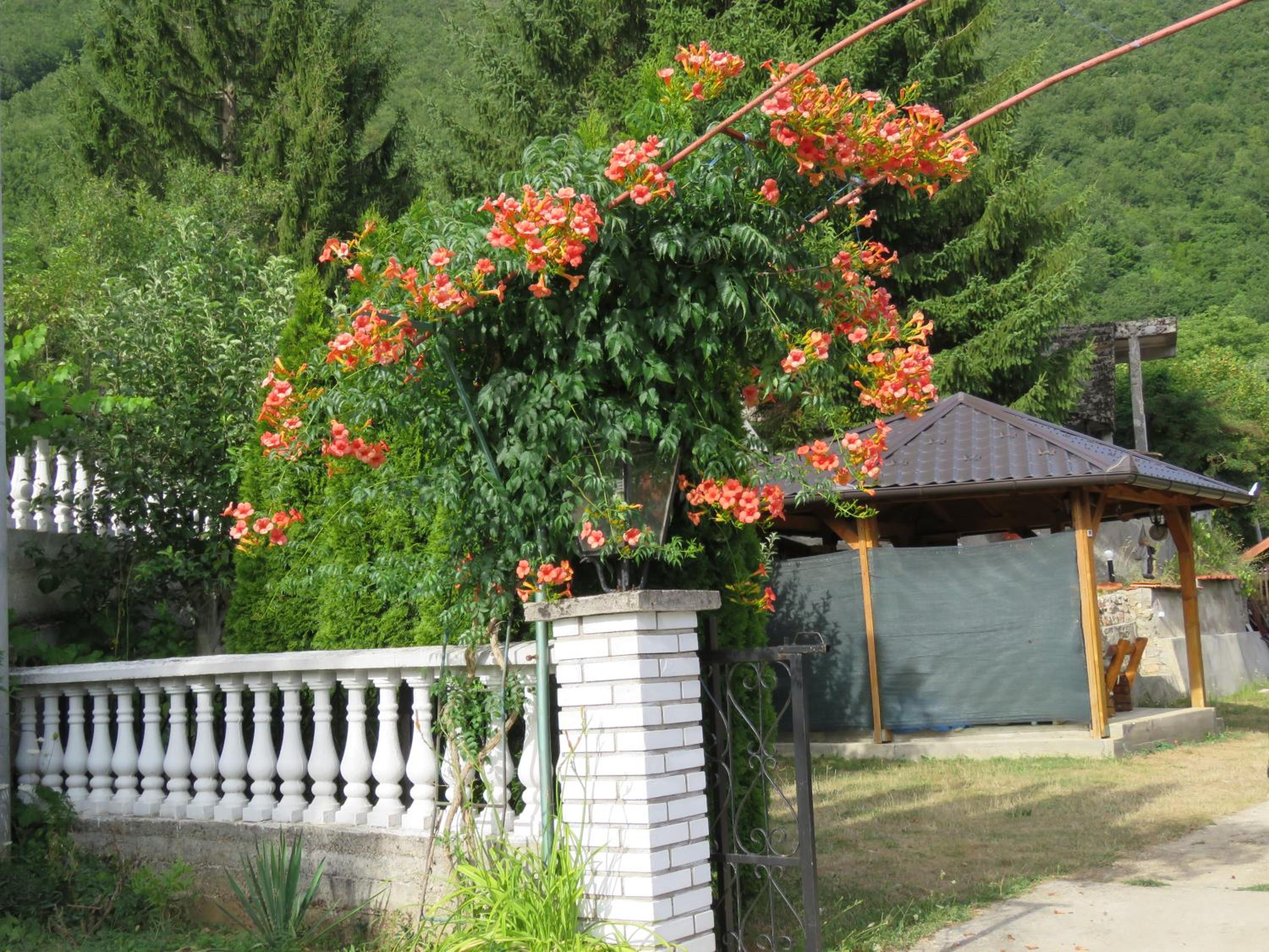 Photo 33