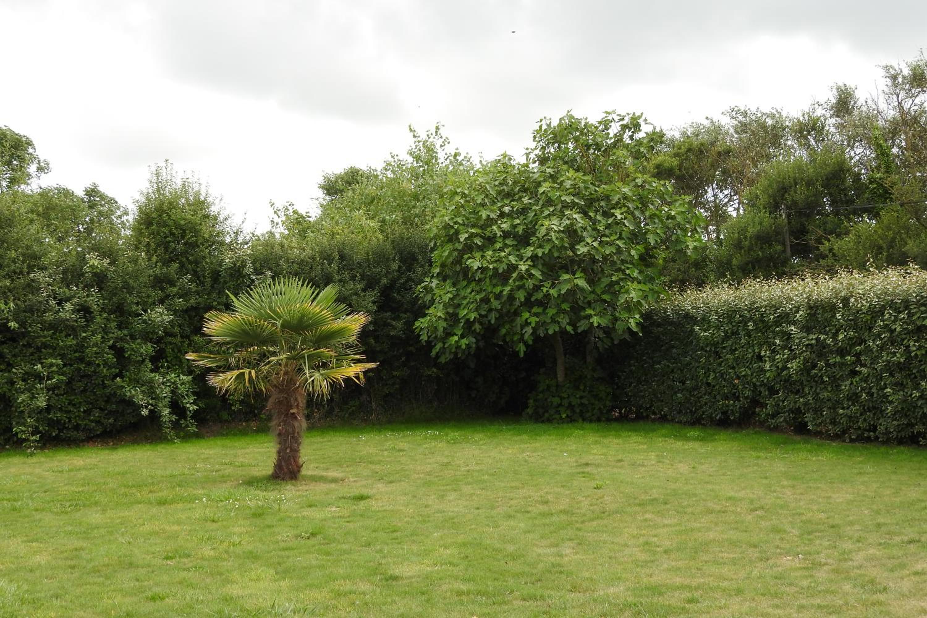 Photo 28