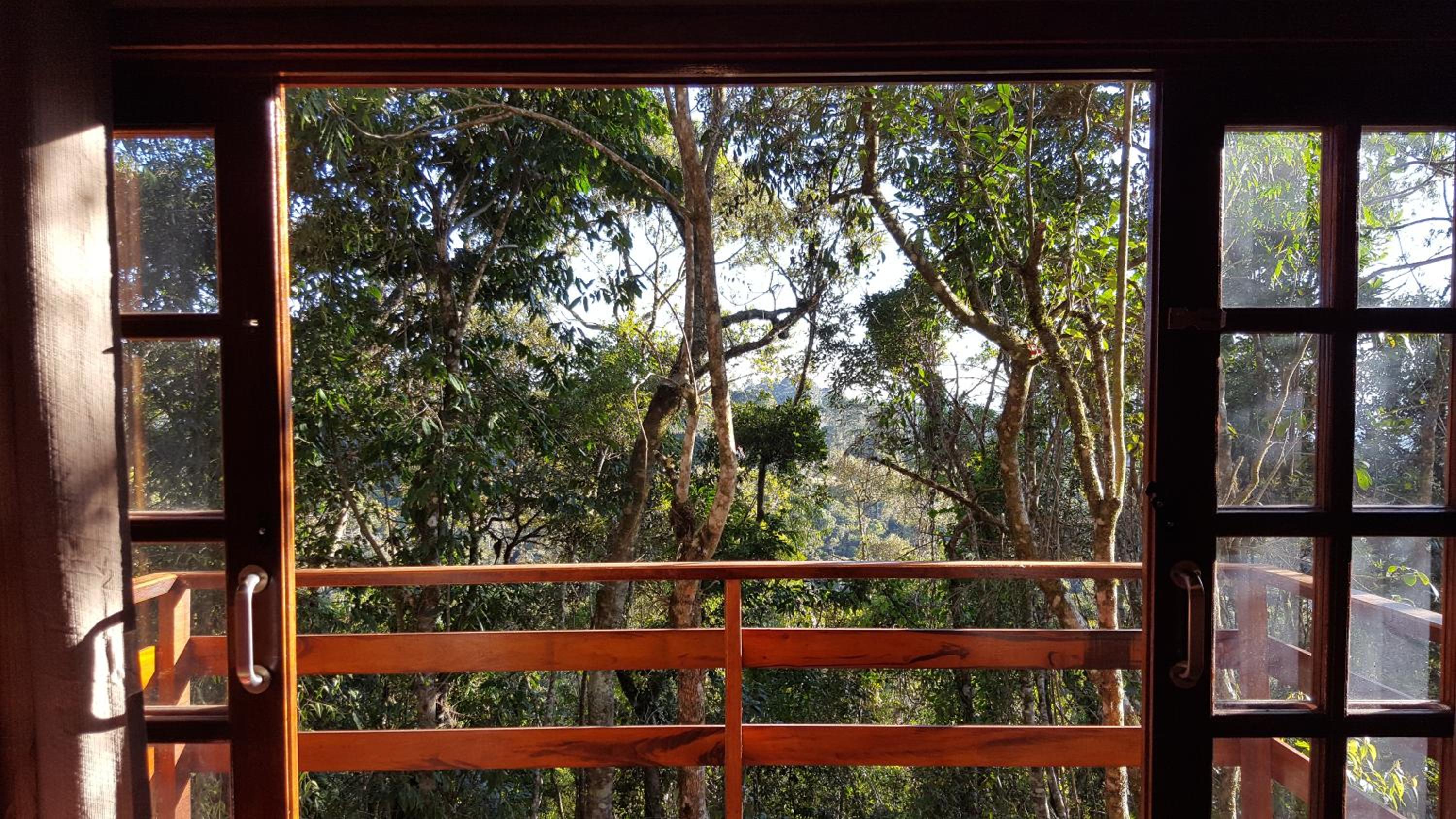 Chalé dos Pássaros - Varanda com vista p/ Natureza view 2