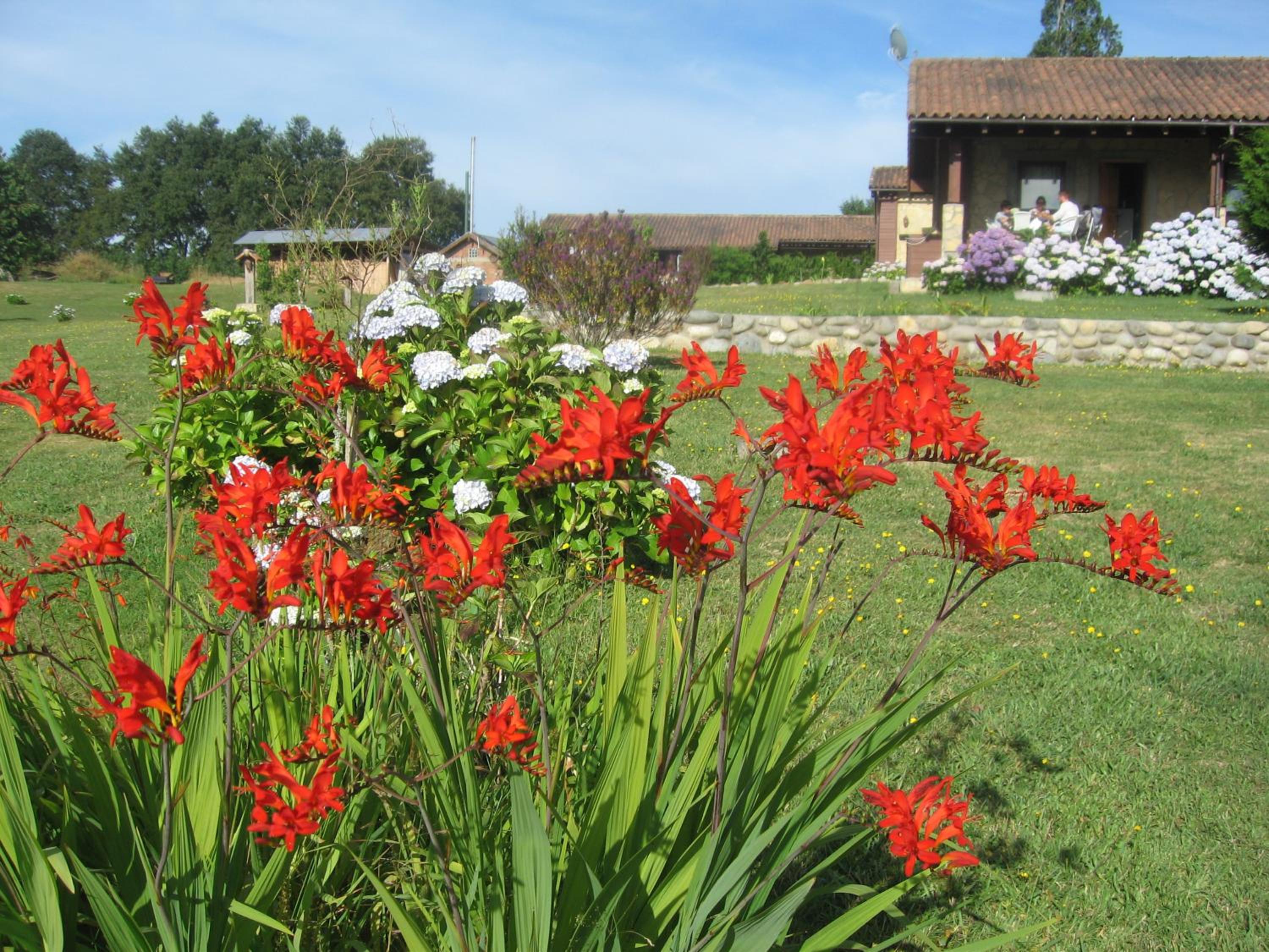 Regenbogen Bungalows