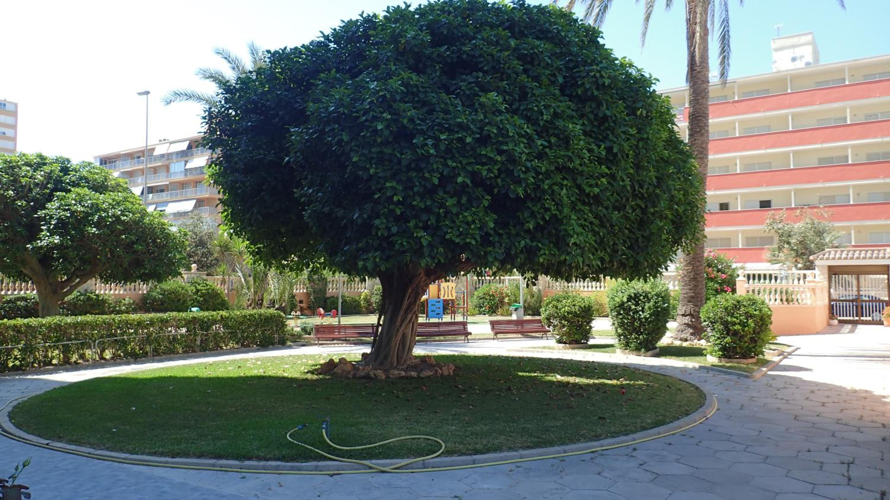 Photo 40