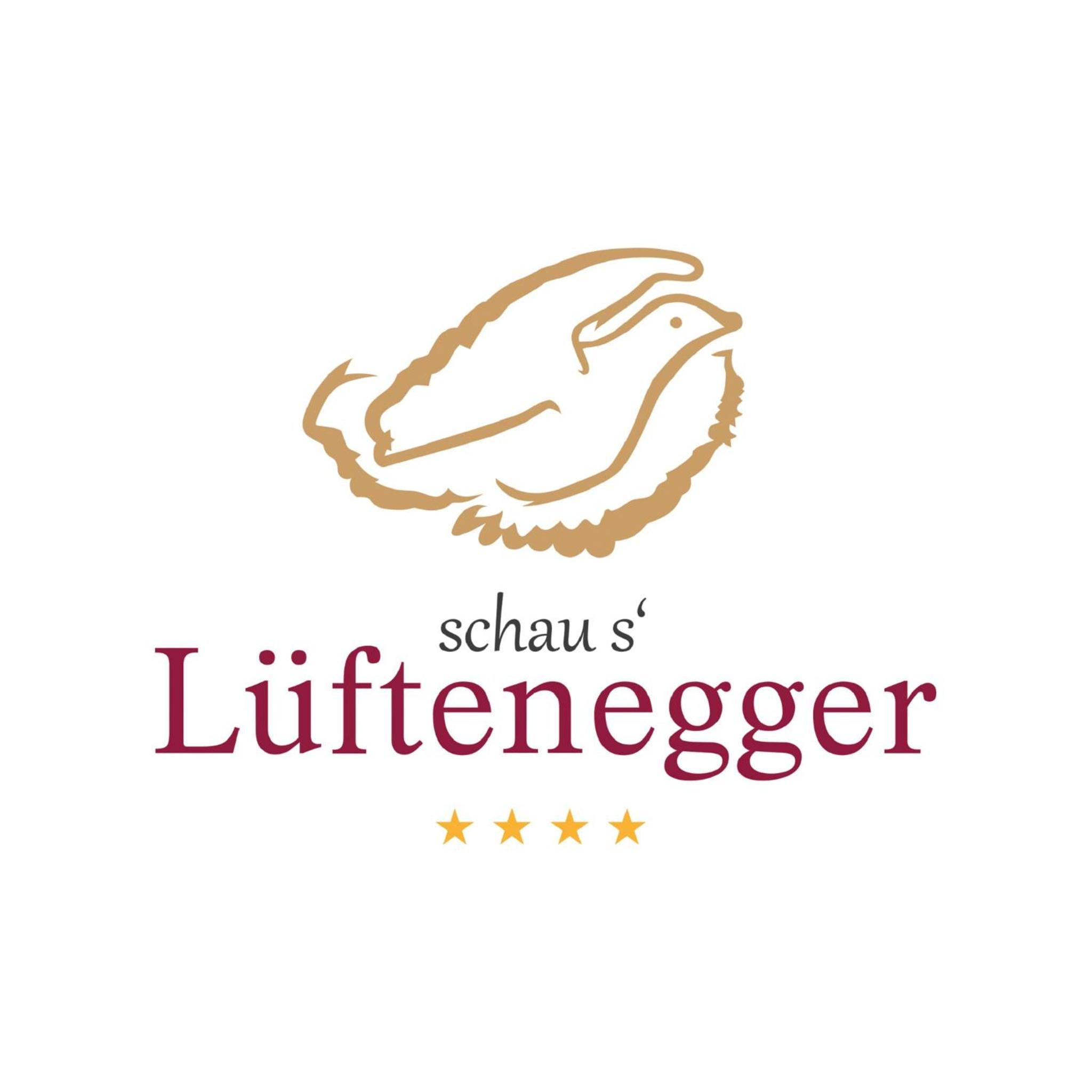 schaus Lüftenegger - Apart-Zirbenpension view 2