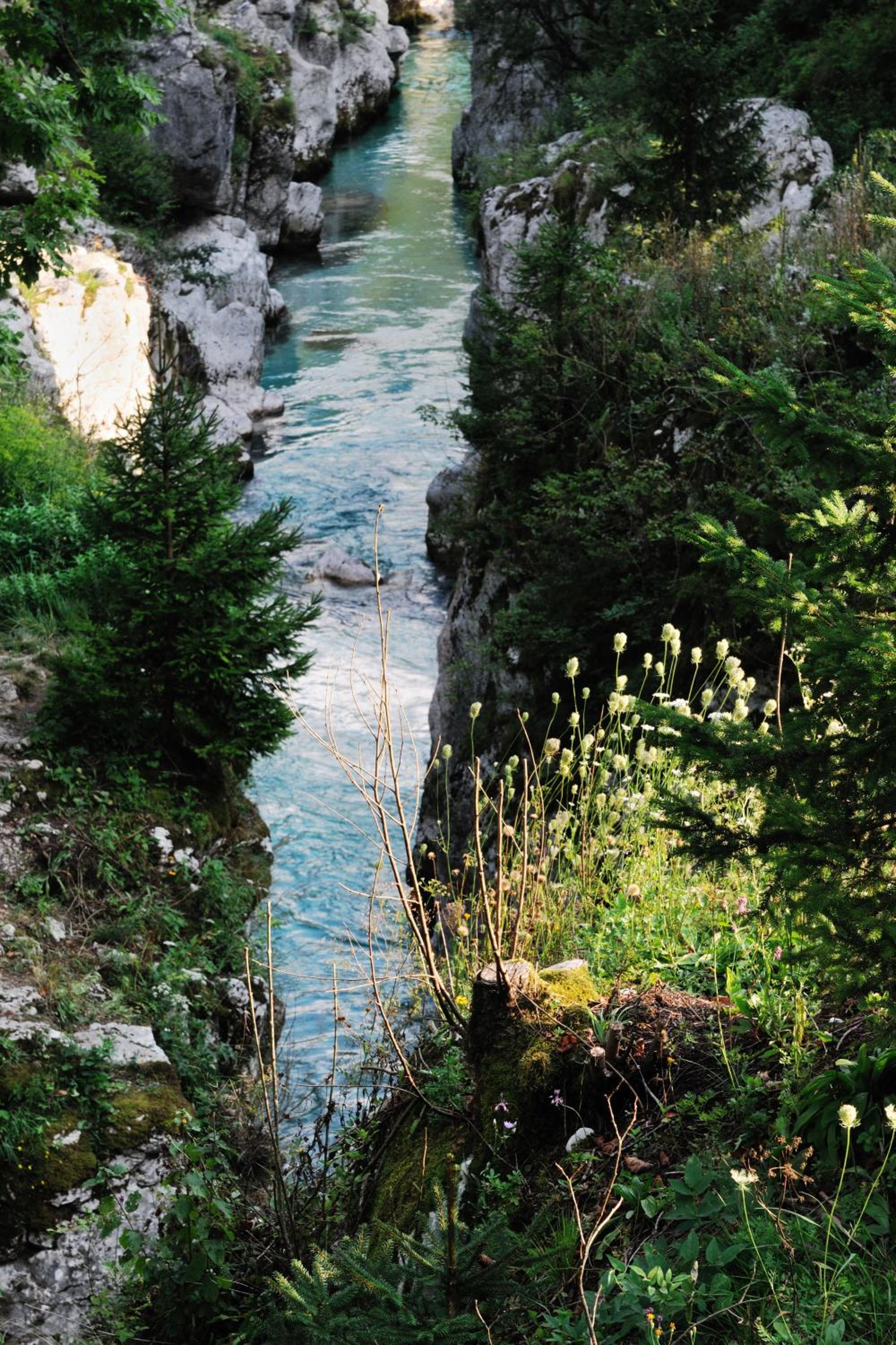 Photo 47