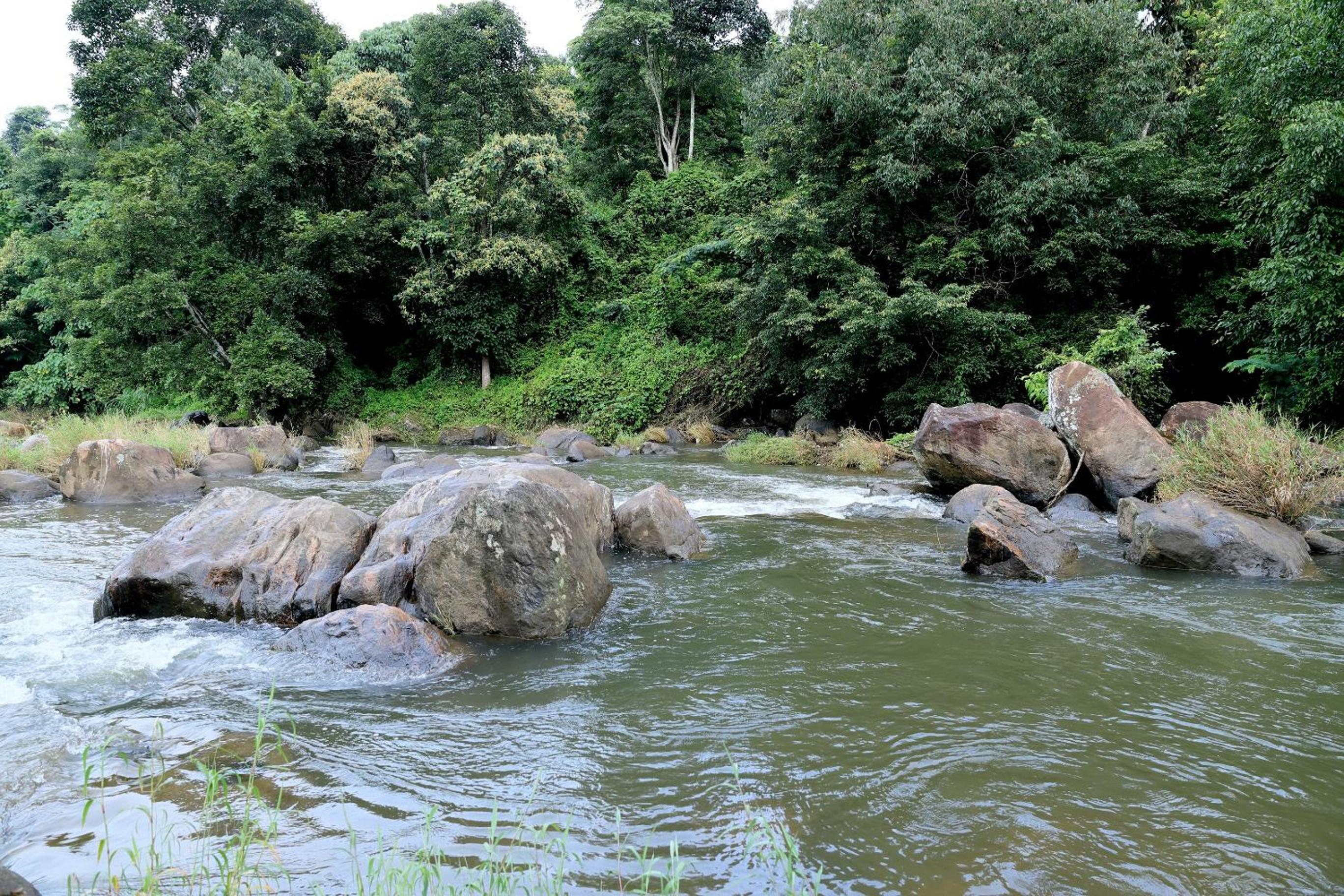 Munnar Vacations - Ayursakthi Riverdale - Property Image 12