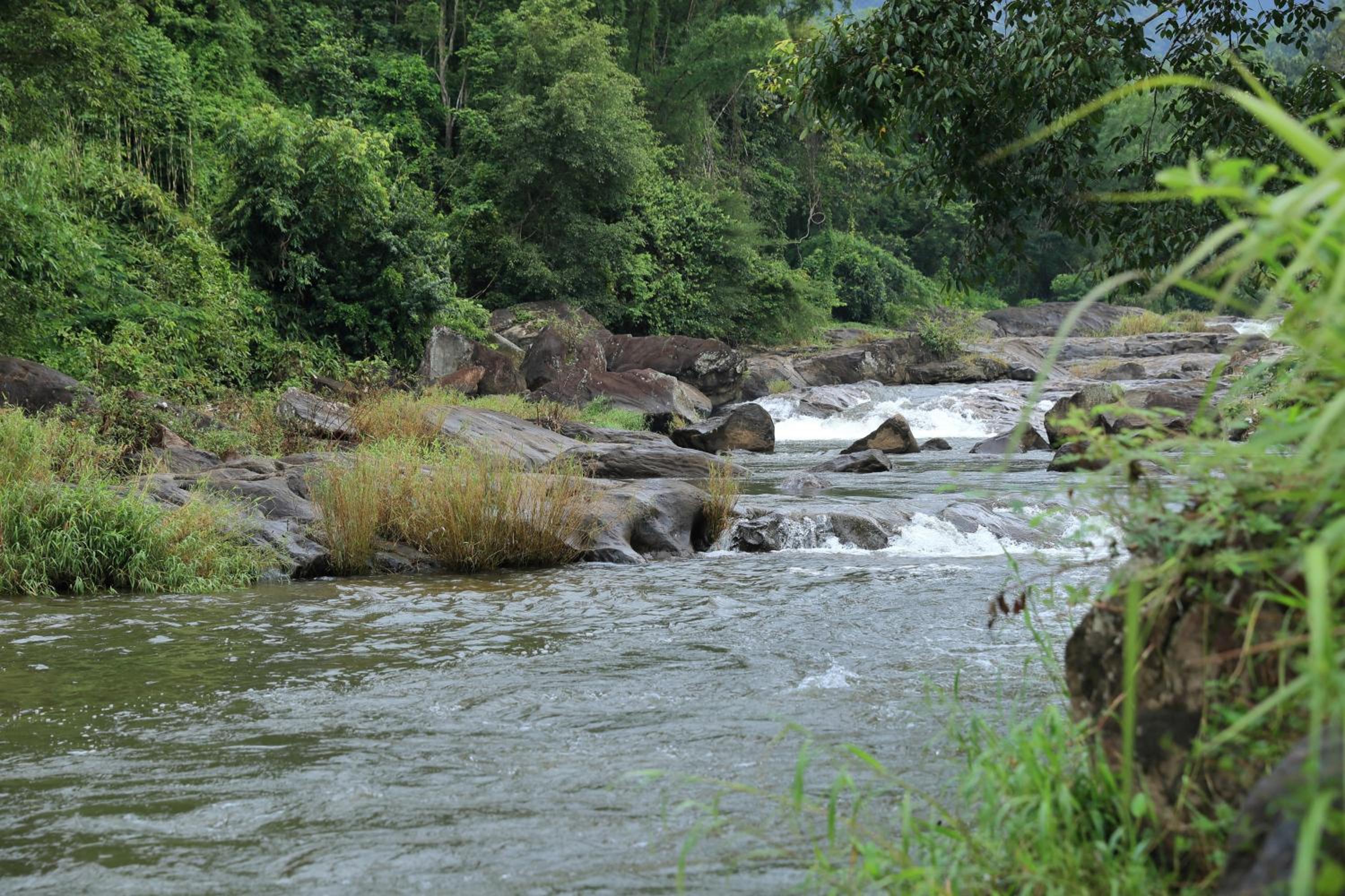 Munnar Vacations - Ayursakthi Riverdale - Property Image 9