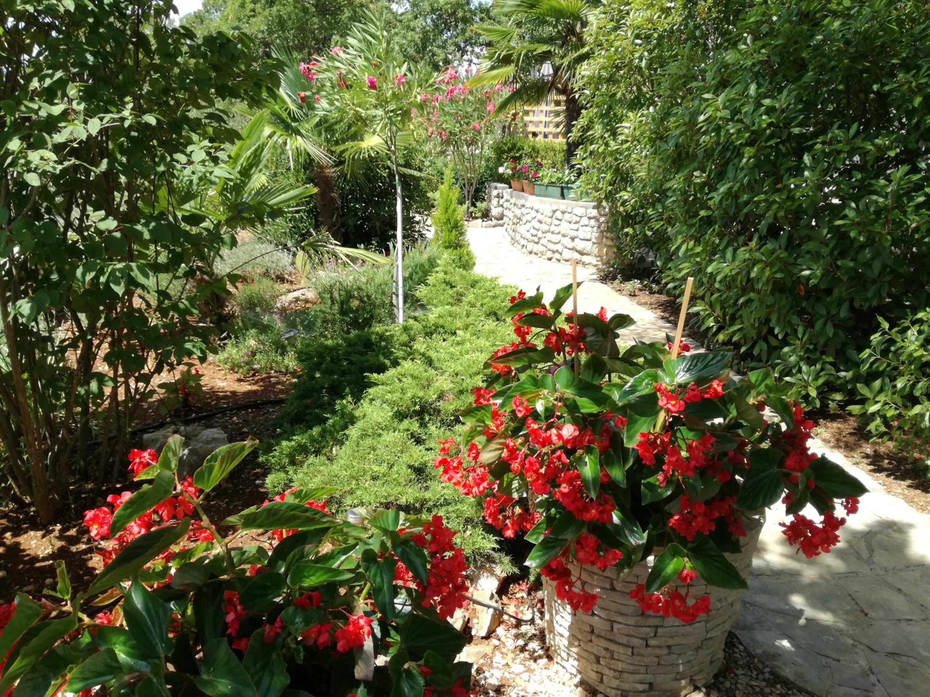 Photo 14
